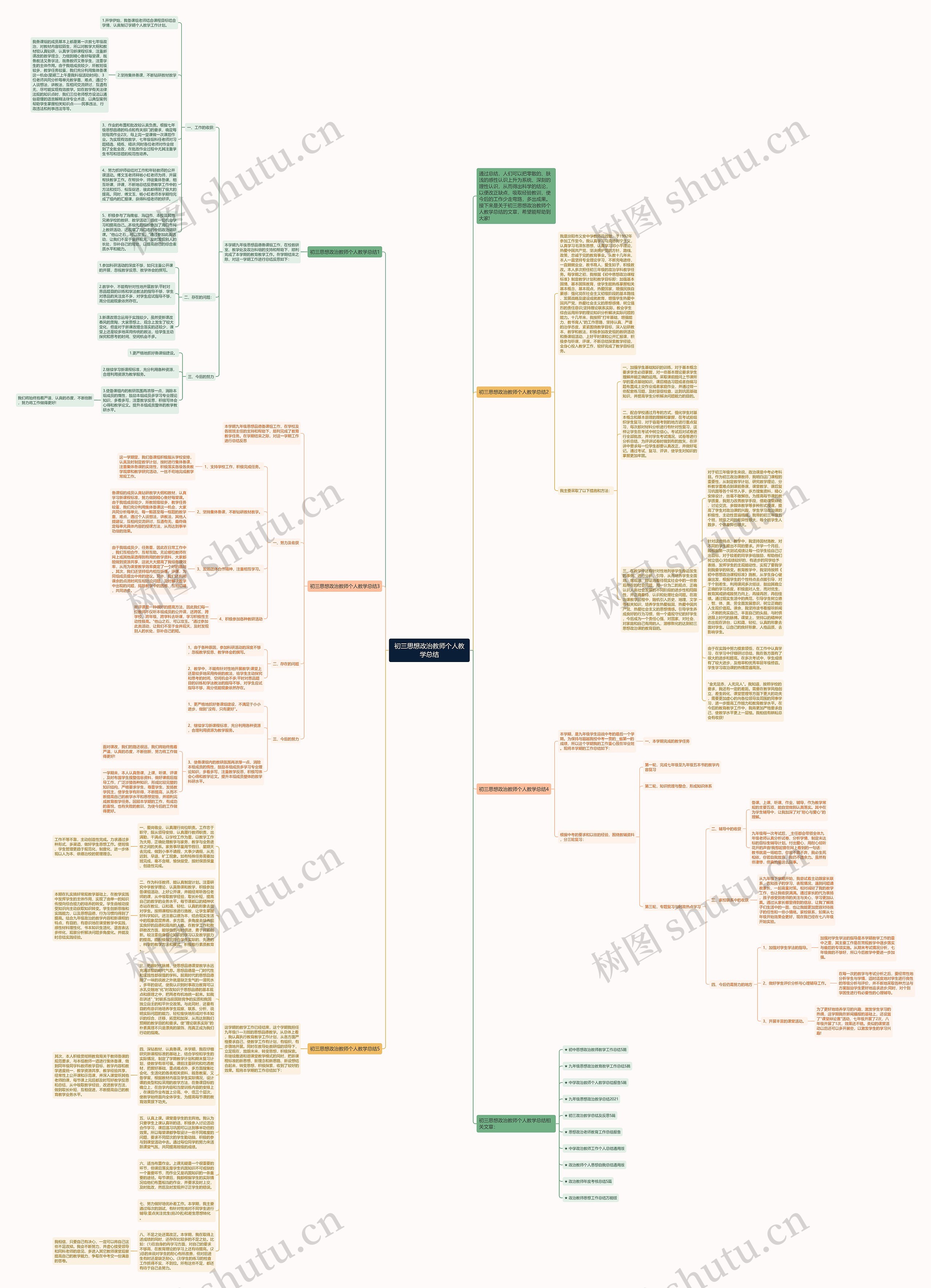 初三思想政治教师个人教学总结思维导图