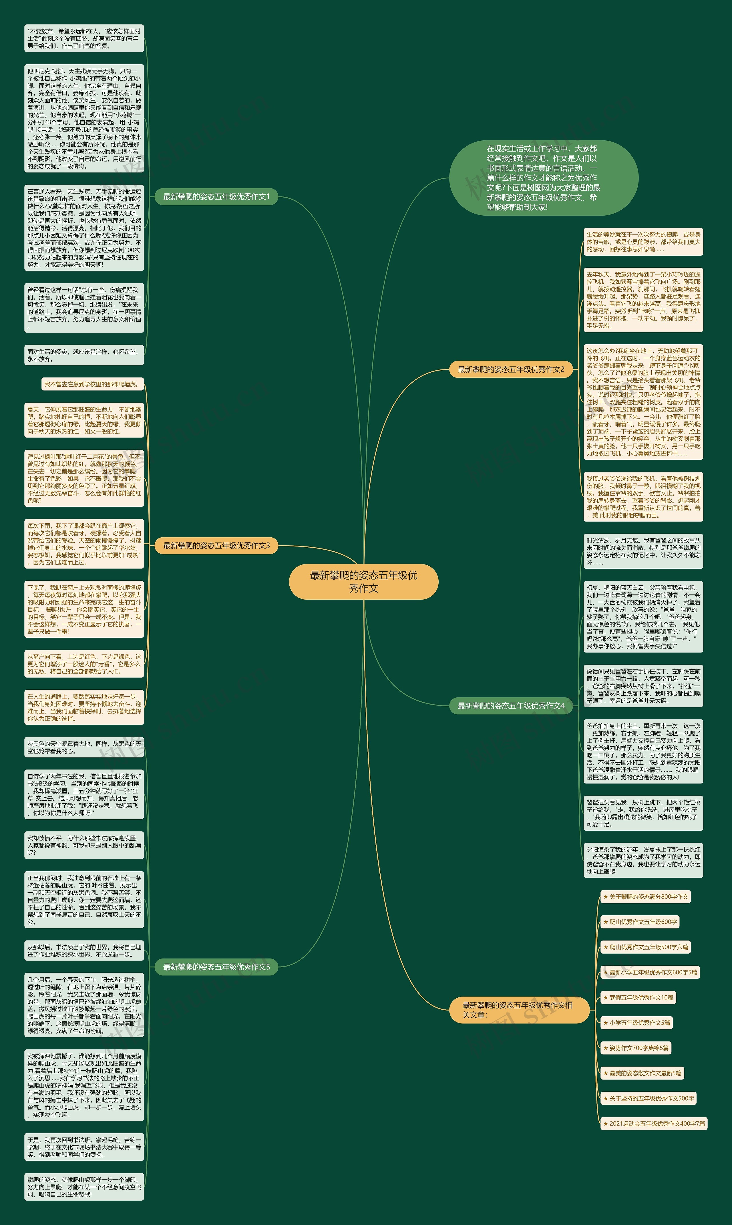 最新攀爬的姿态五年级优秀作文思维导图