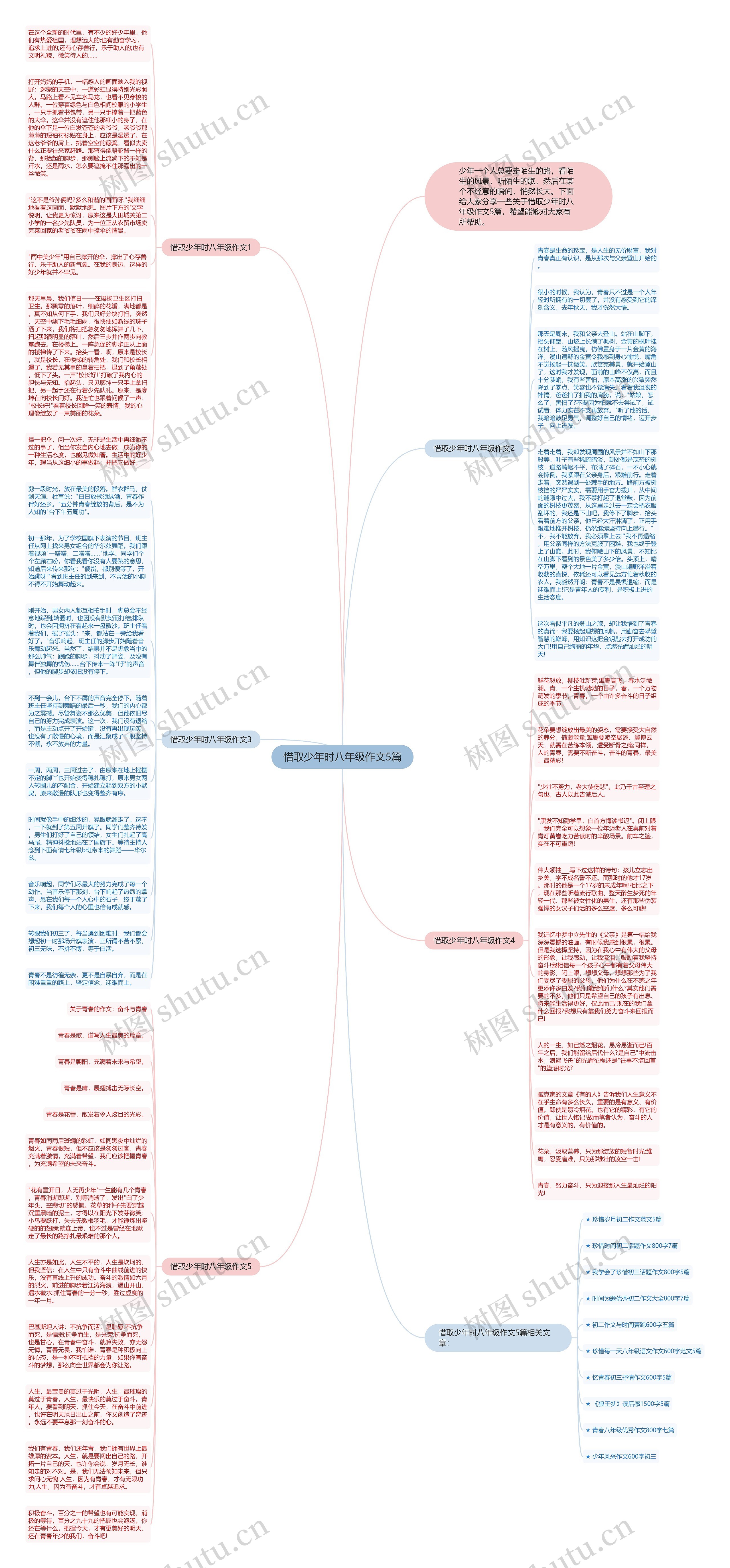 惜取少年时八年级作文5篇思维导图