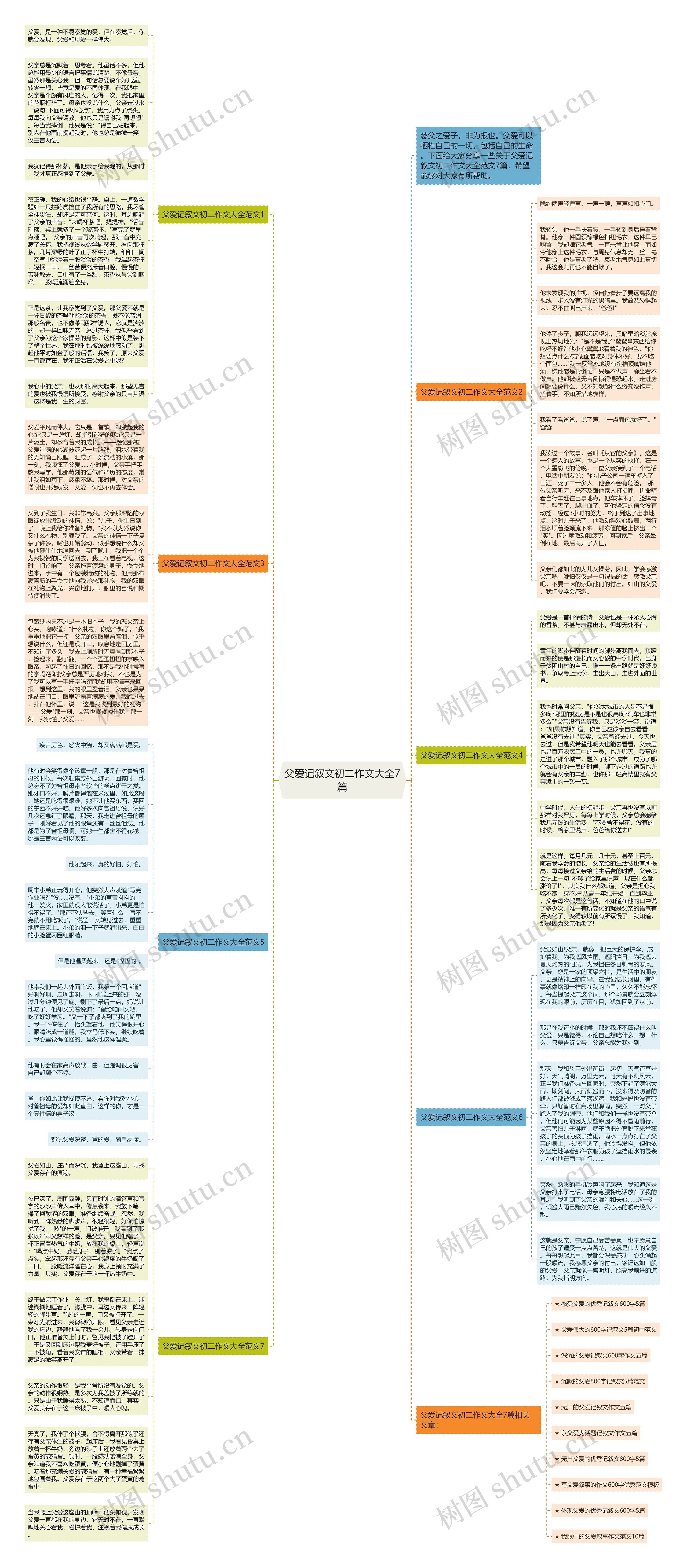 父爱记叙文初二作文大全7篇思维导图