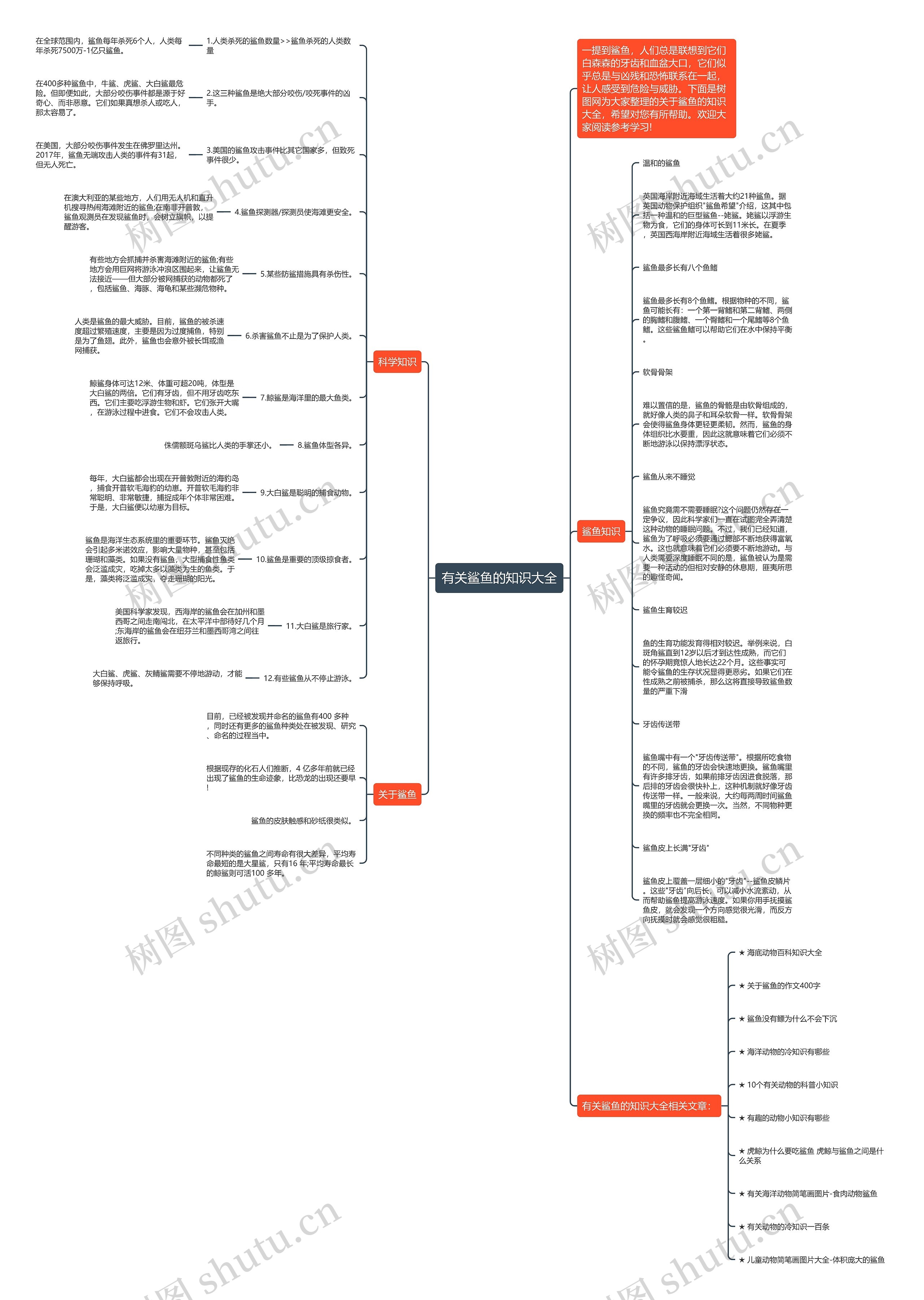 有关鲨鱼的知识大全思维导图