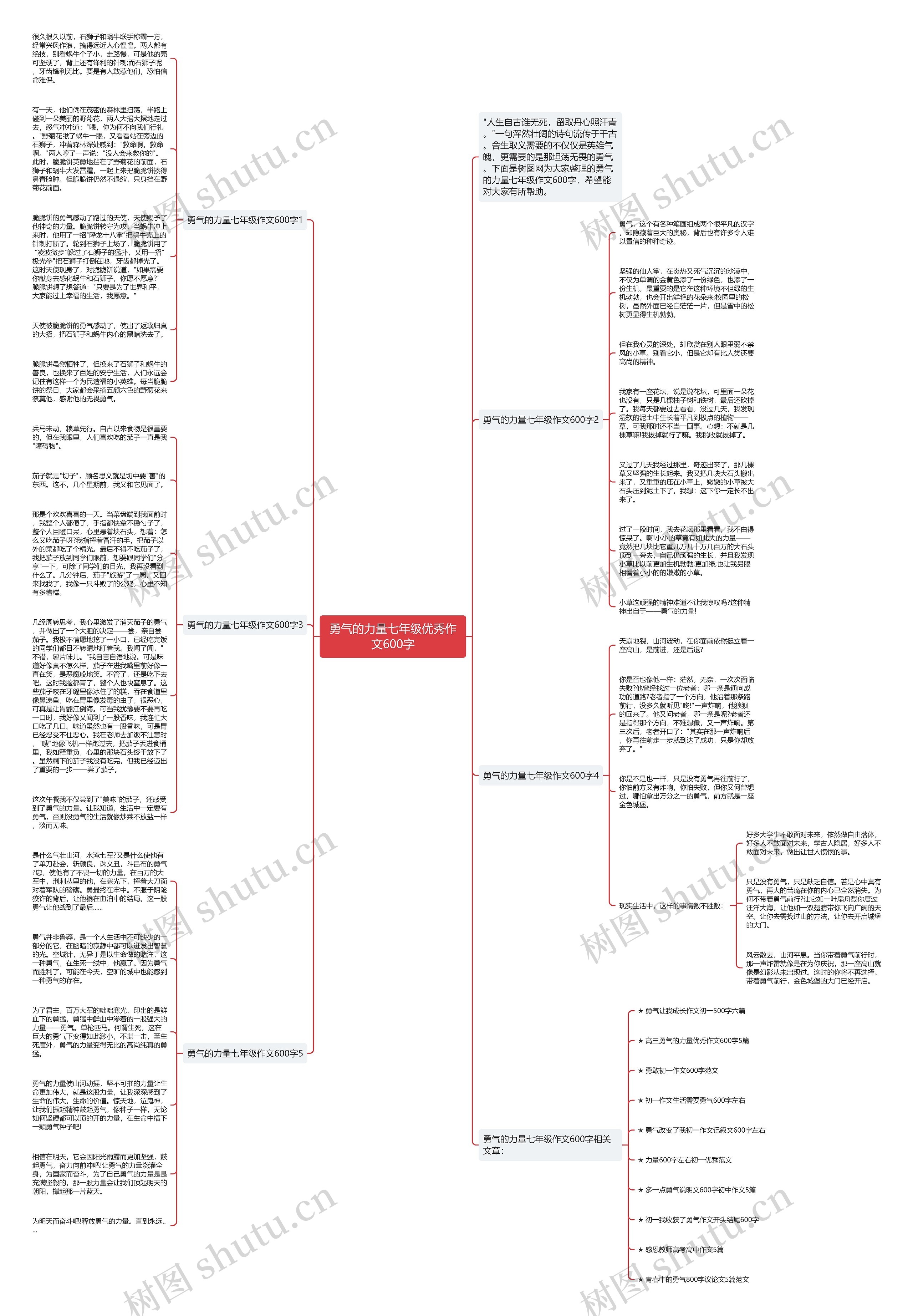 勇气的力量七年级优秀作文600字思维导图