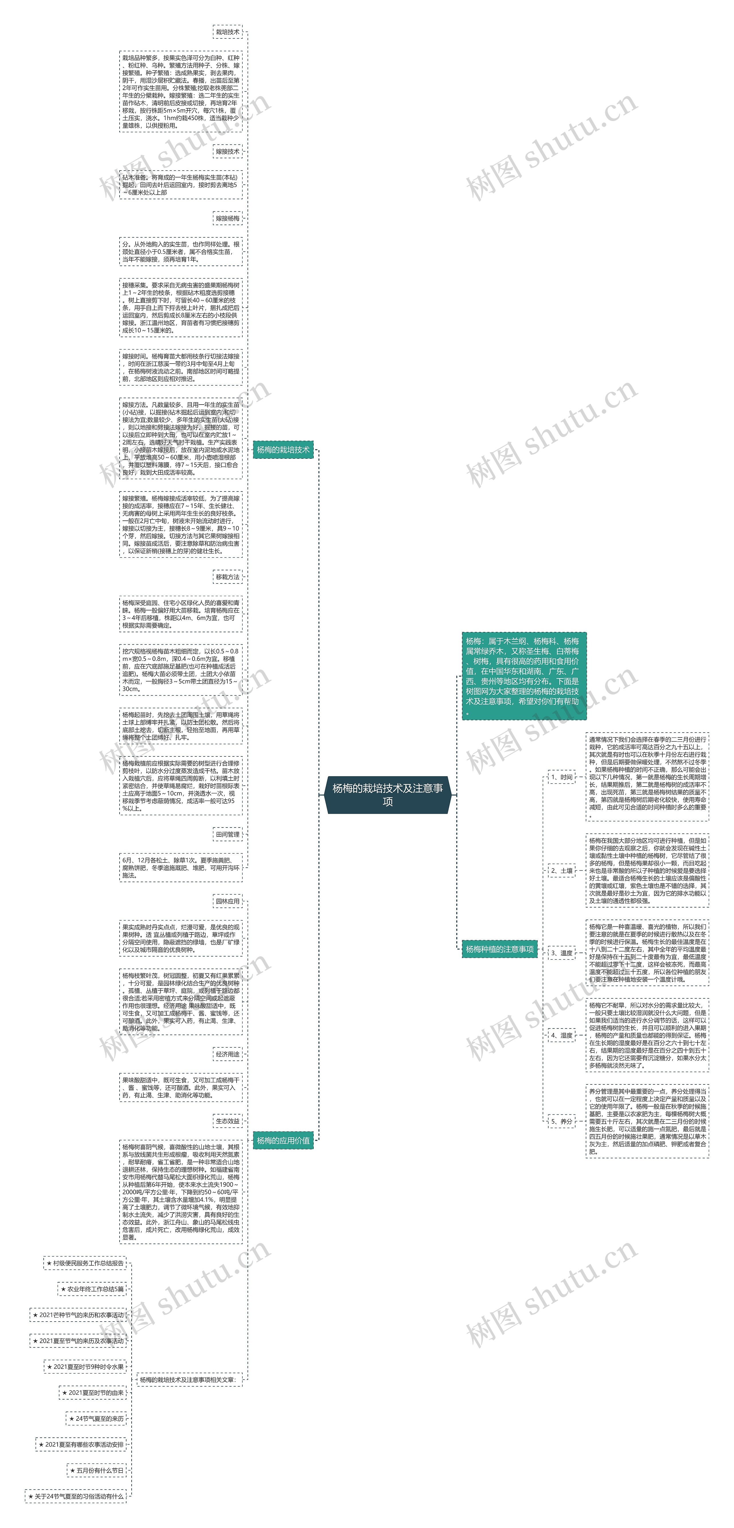 杨梅的栽培技术及注意事项思维导图