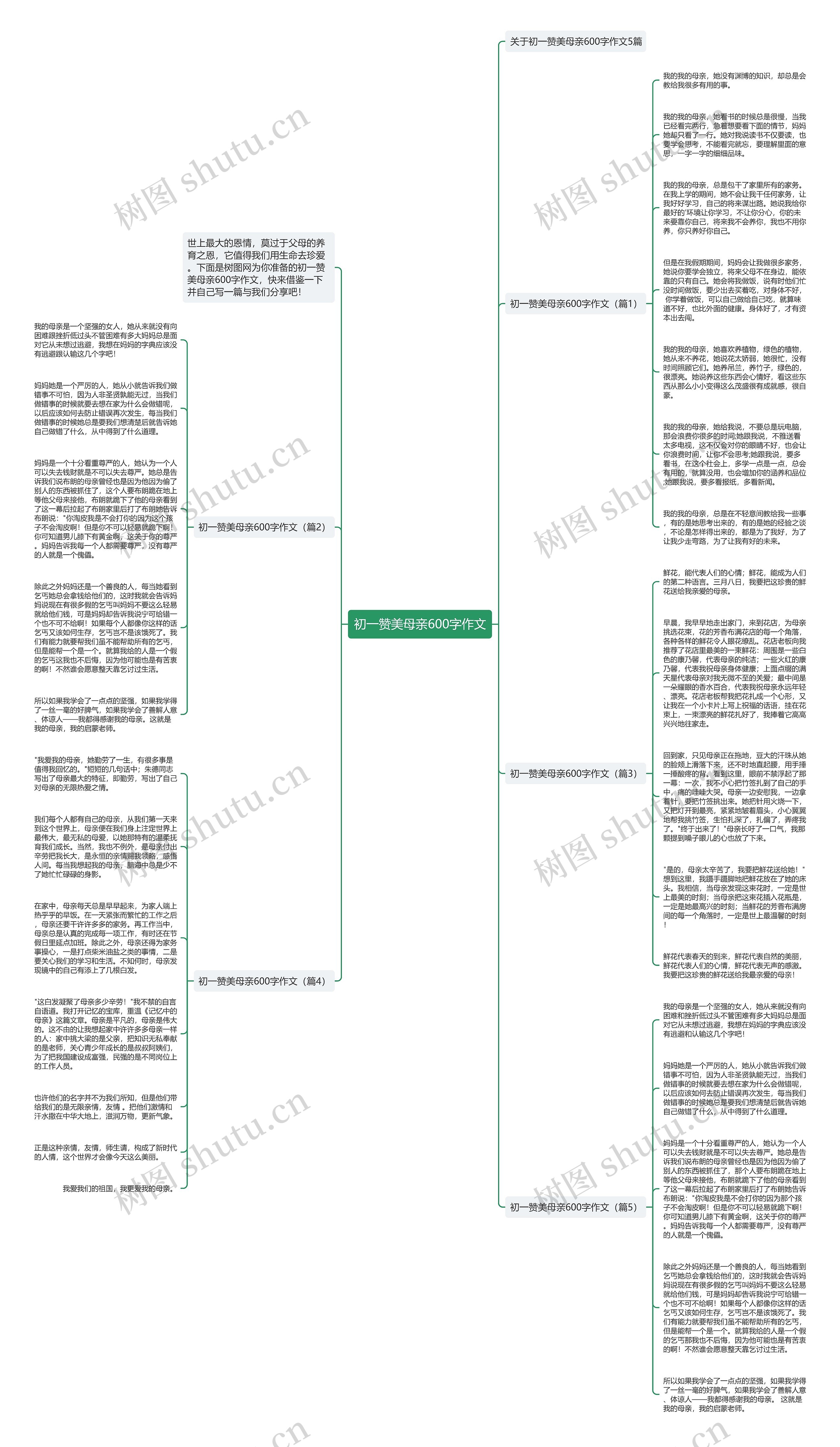 初一赞美母亲600字作文思维导图