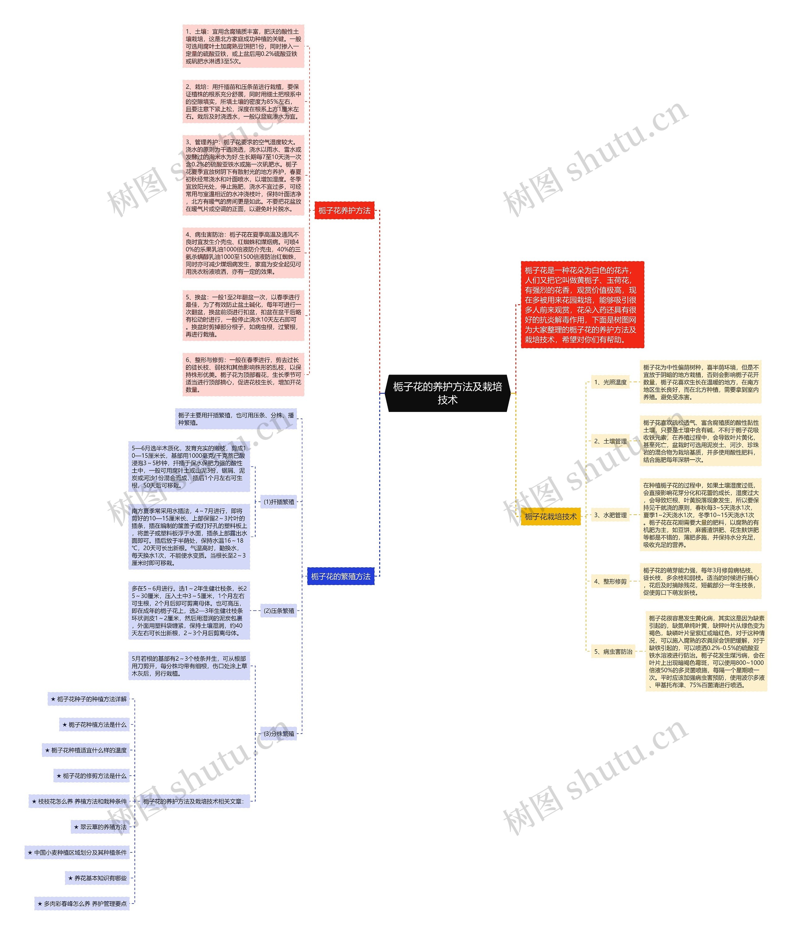 栀子花的养护方法及栽培技术思维导图