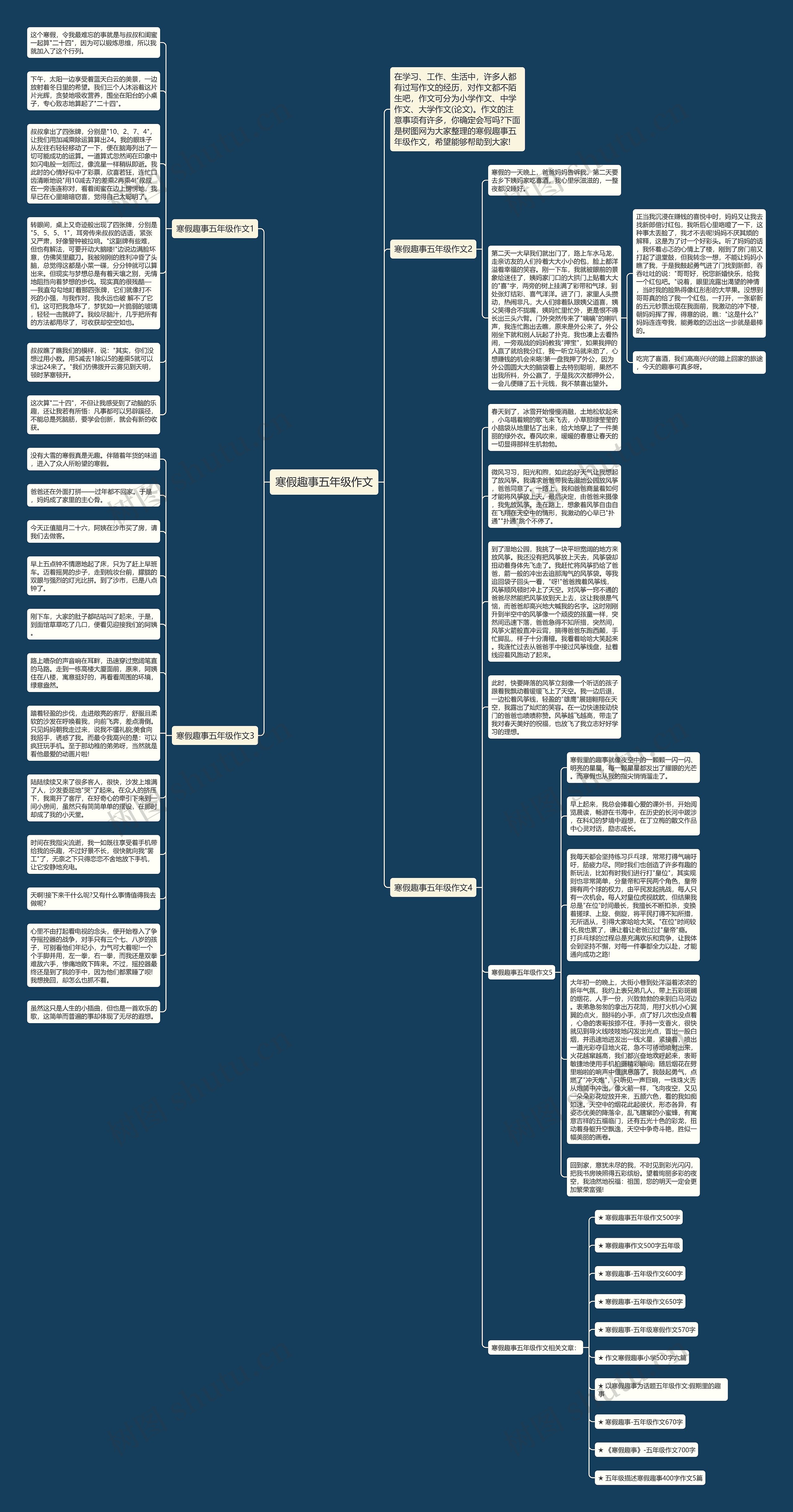 寒假趣事五年级作文思维导图
