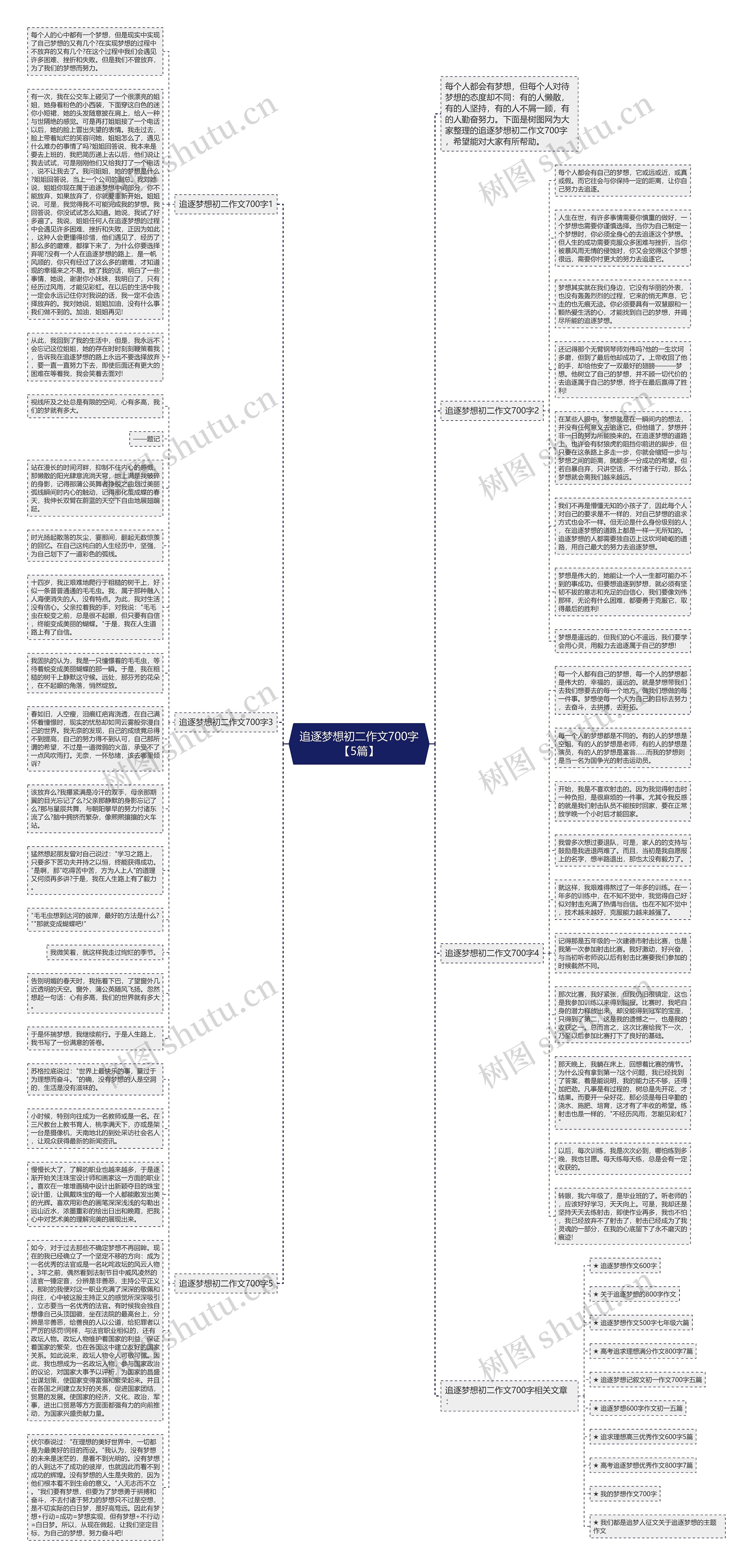 追逐梦想初二作文700字【5篇】思维导图