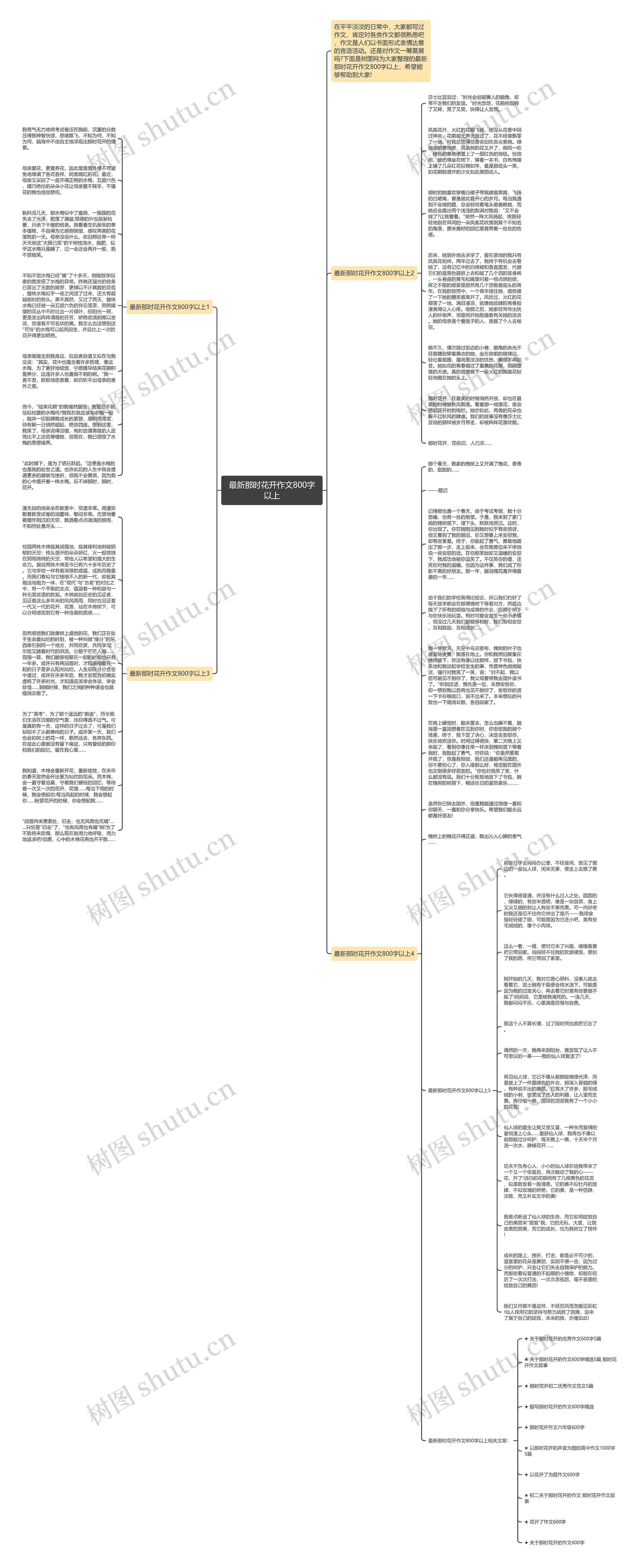最新那时花开作文800字以上思维导图
