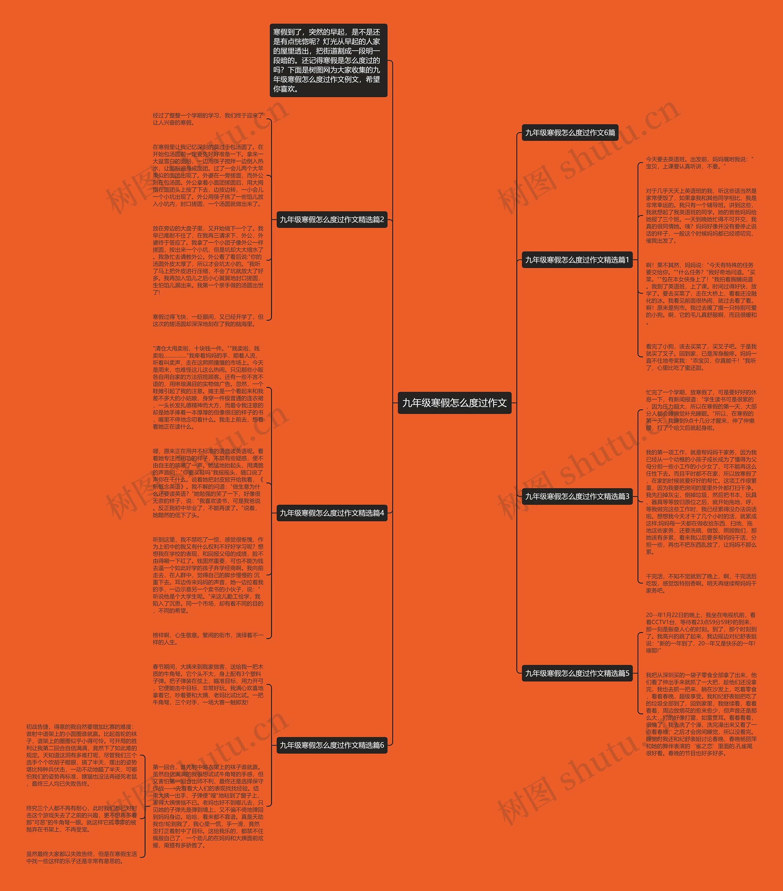 九年级寒假怎么度过作文思维导图
