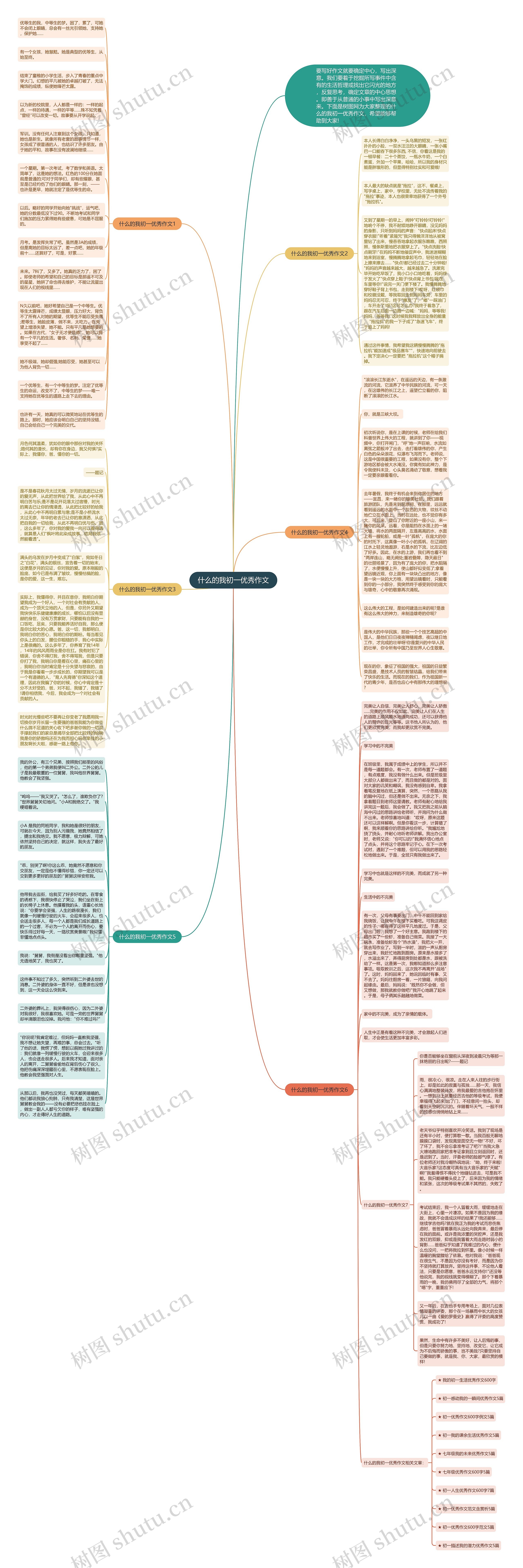 什么的我初一优秀作文思维导图