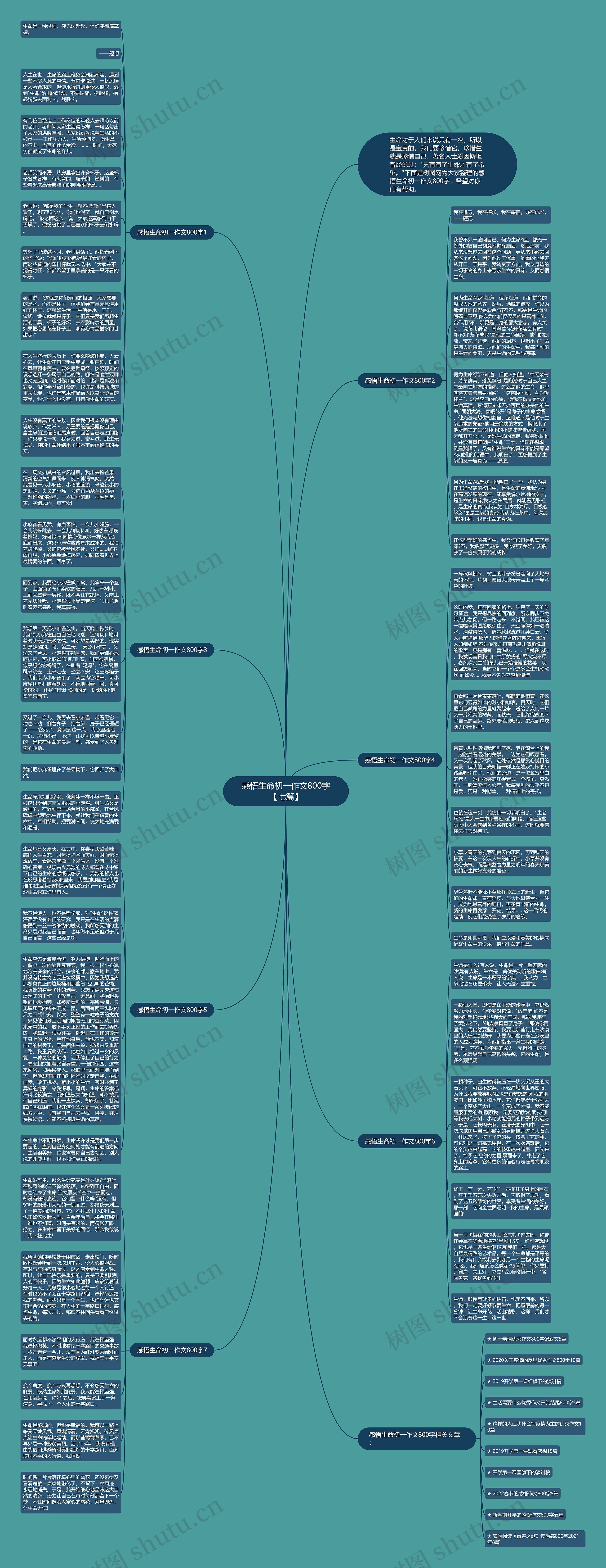 感悟生命初一作文800字【七篇】思维导图
