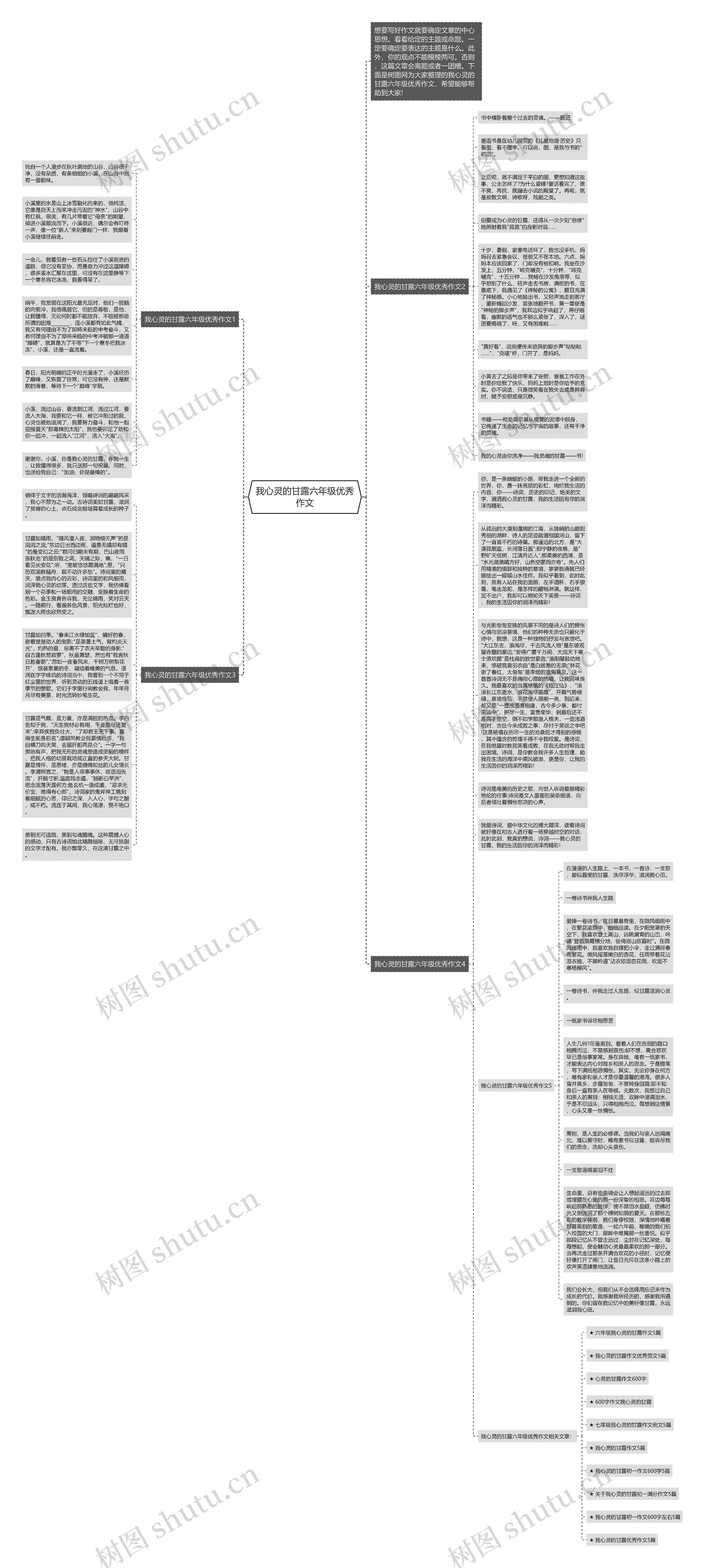 我心灵的甘露六年级优秀作文思维导图