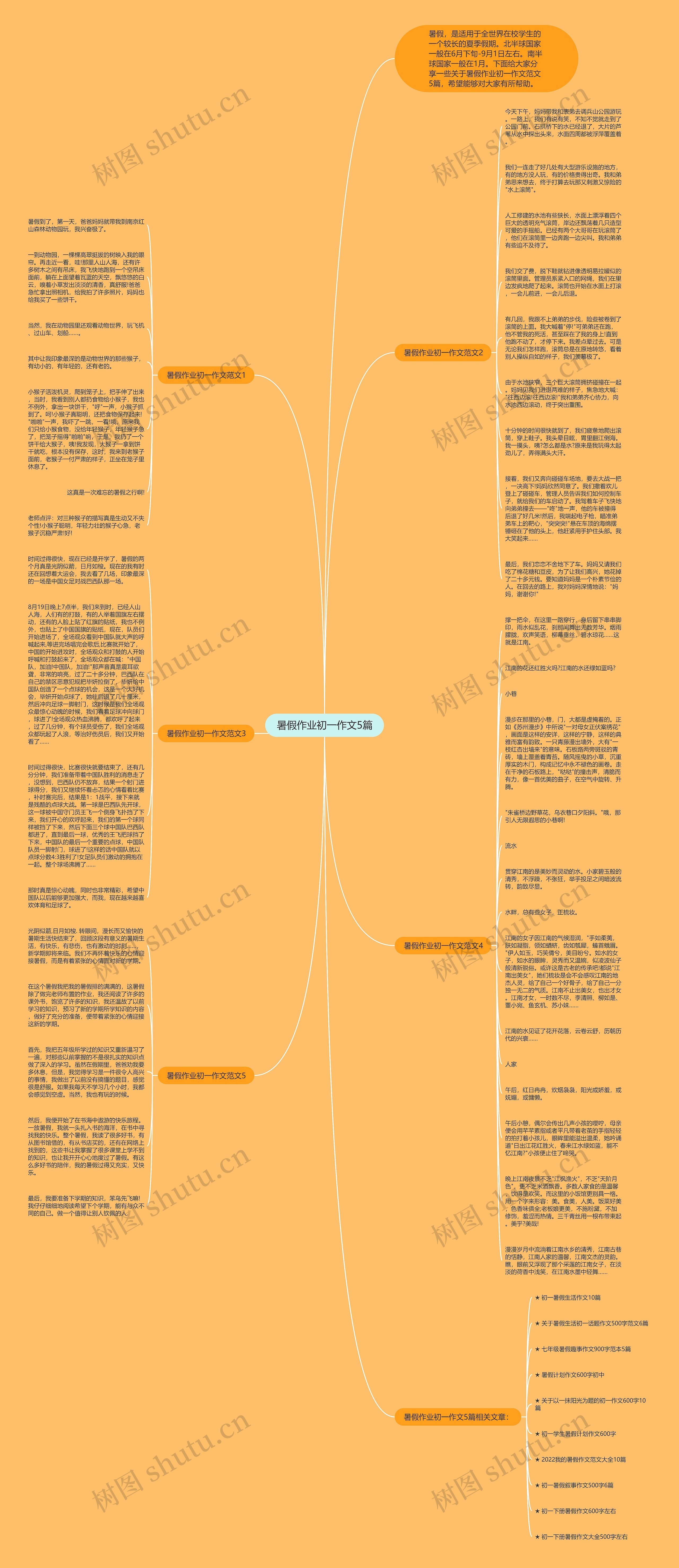 暑假作业初一作文5篇思维导图