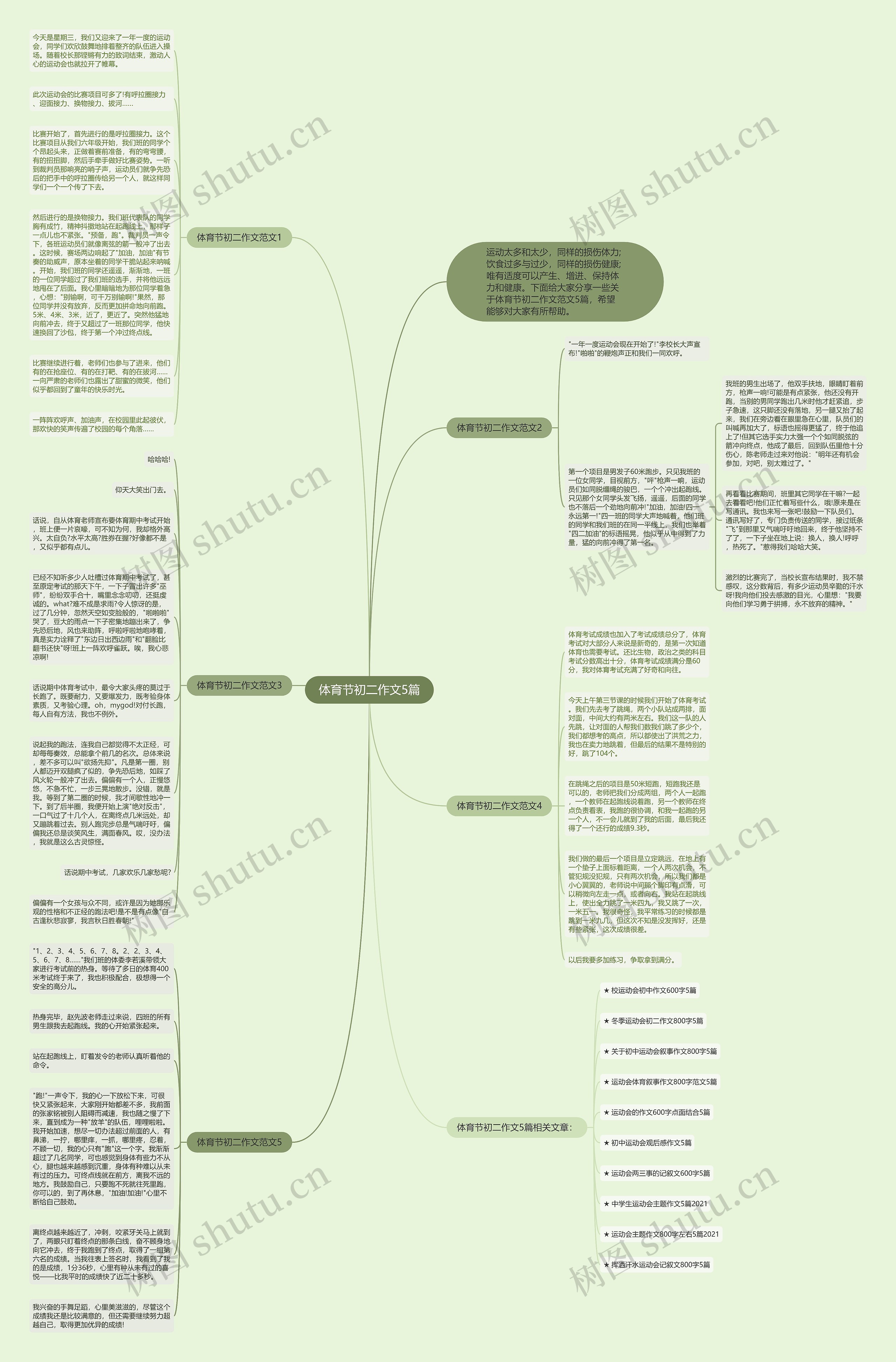体育节初二作文5篇思维导图