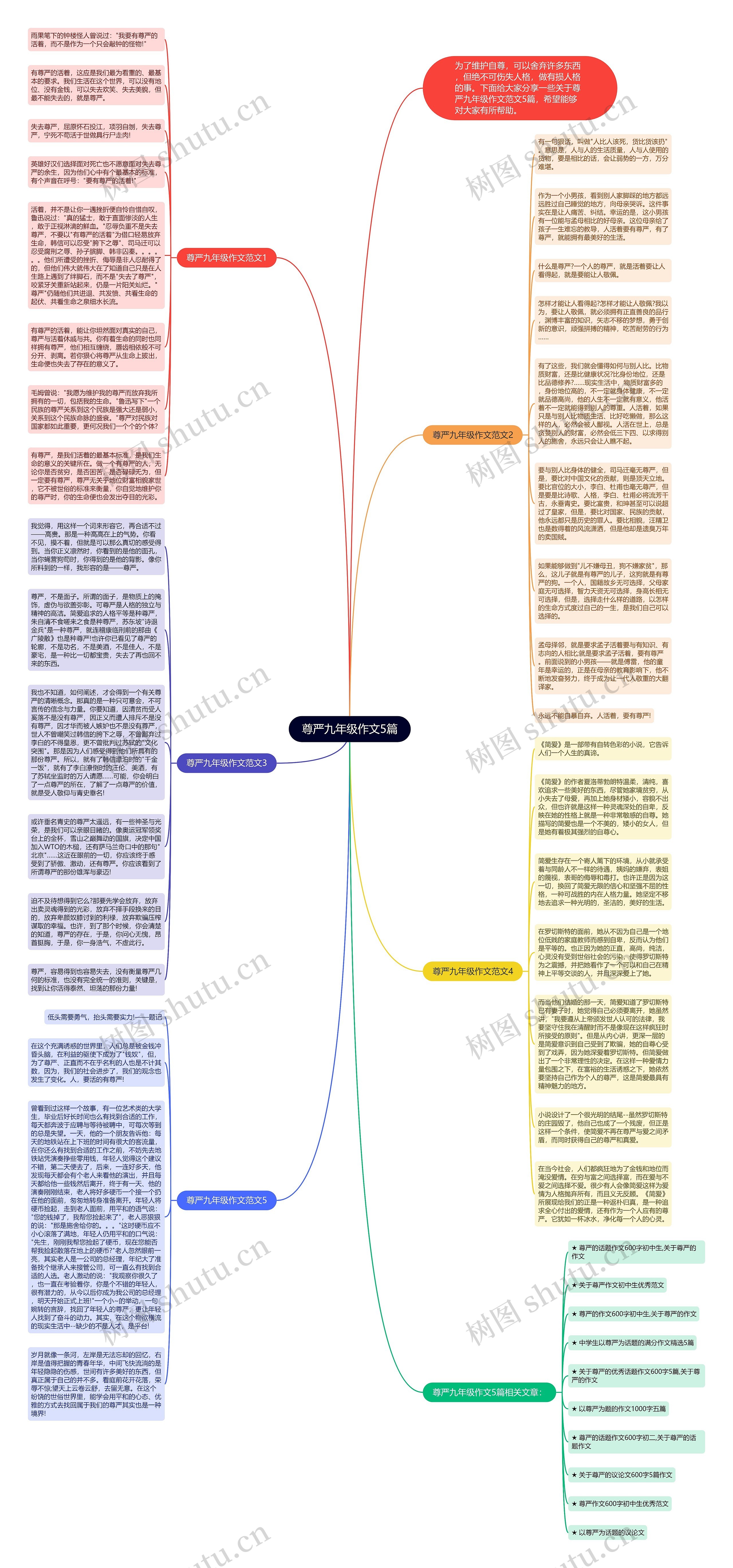 尊严九年级作文5篇思维导图