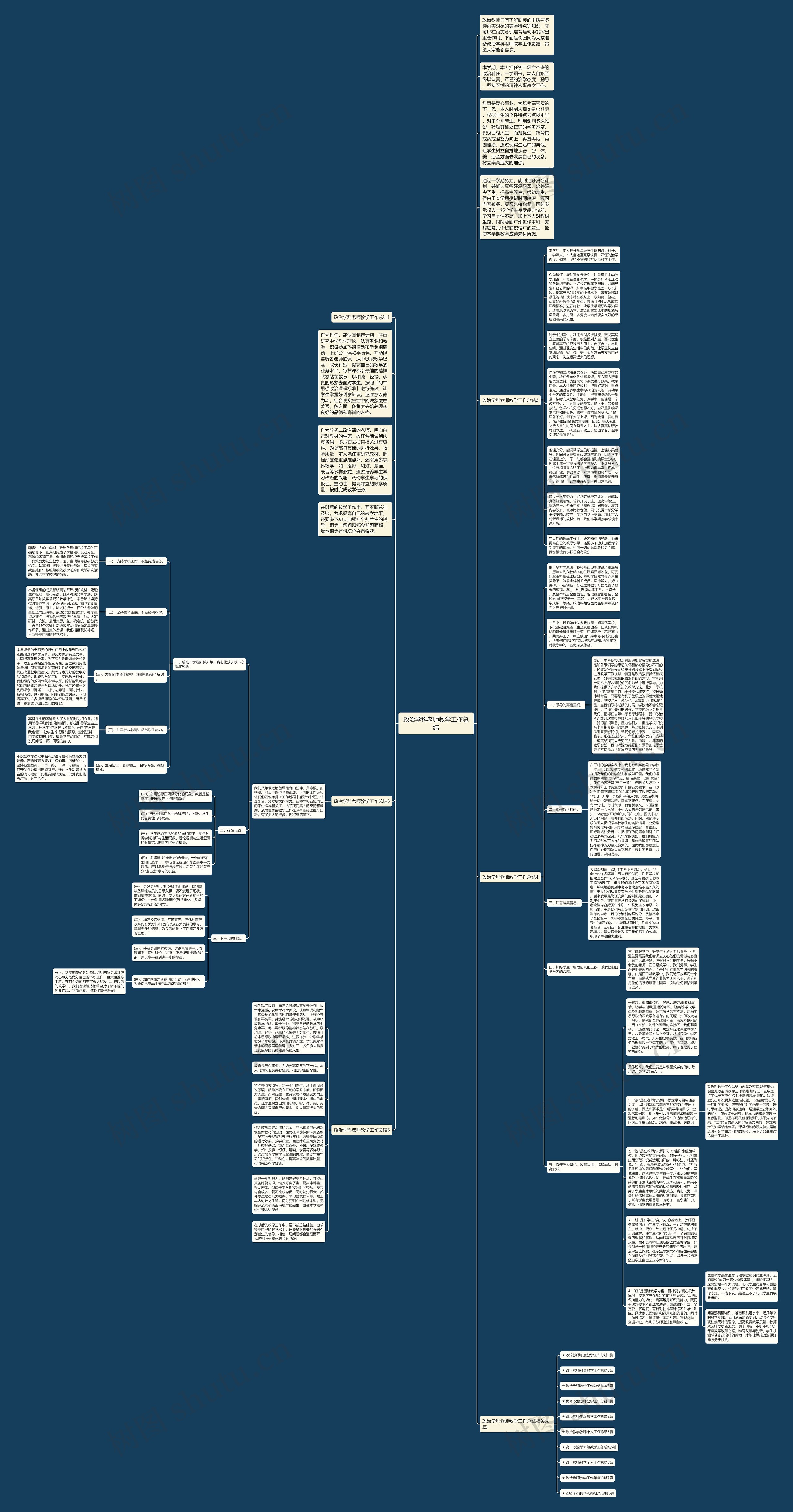 政治学科老师教学工作总结思维导图