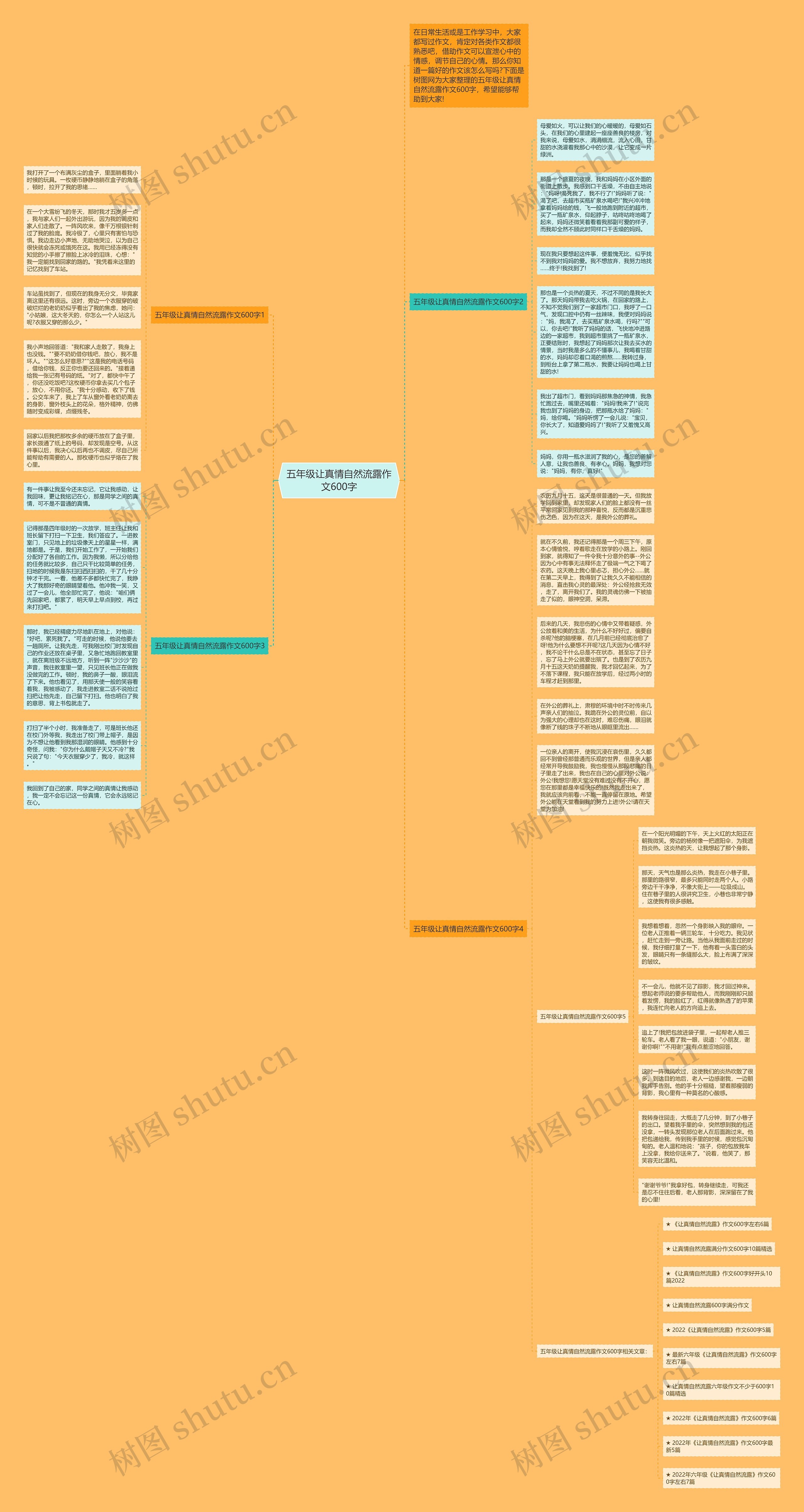 五年级让真情自然流露作文600字思维导图