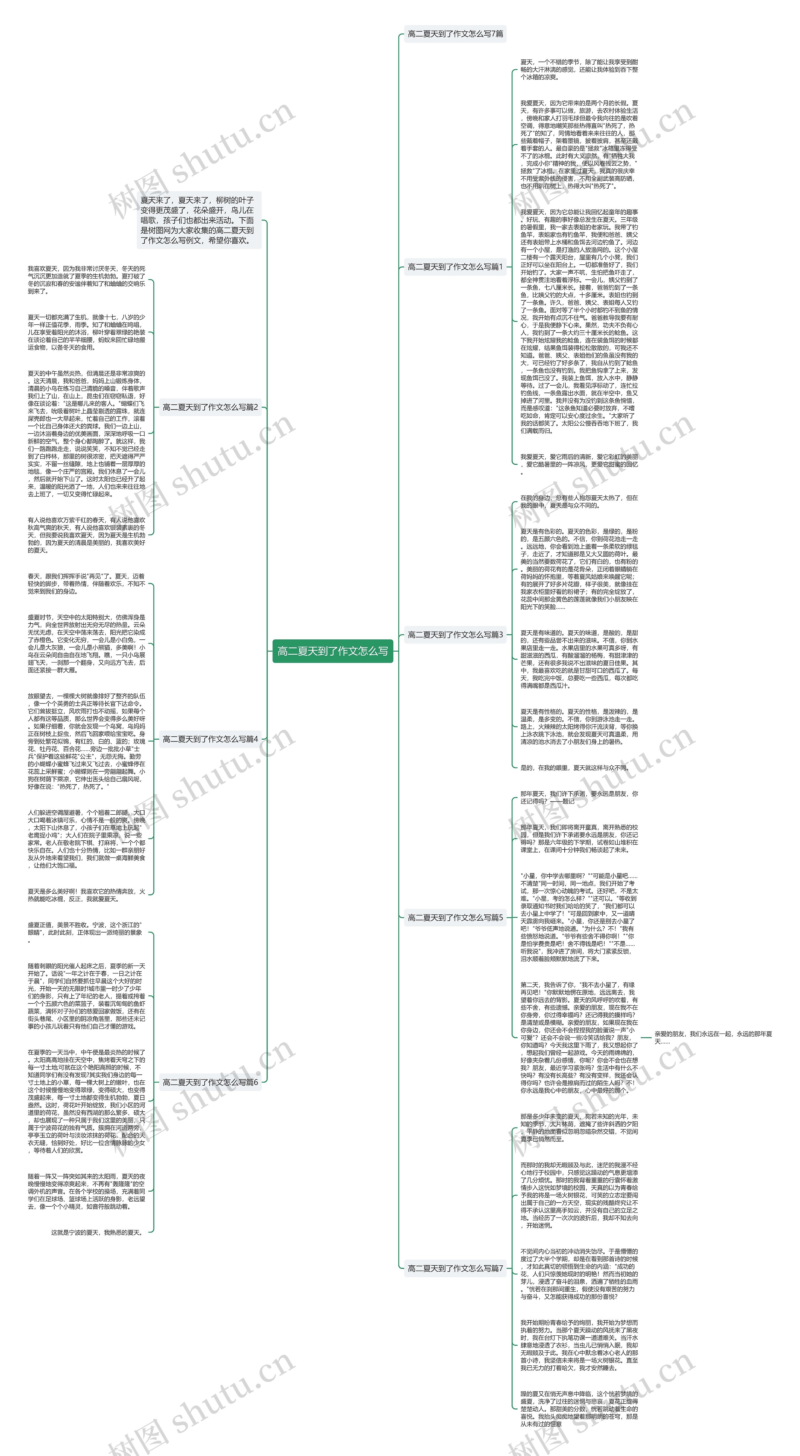 高二夏天到了作文怎么写思维导图
