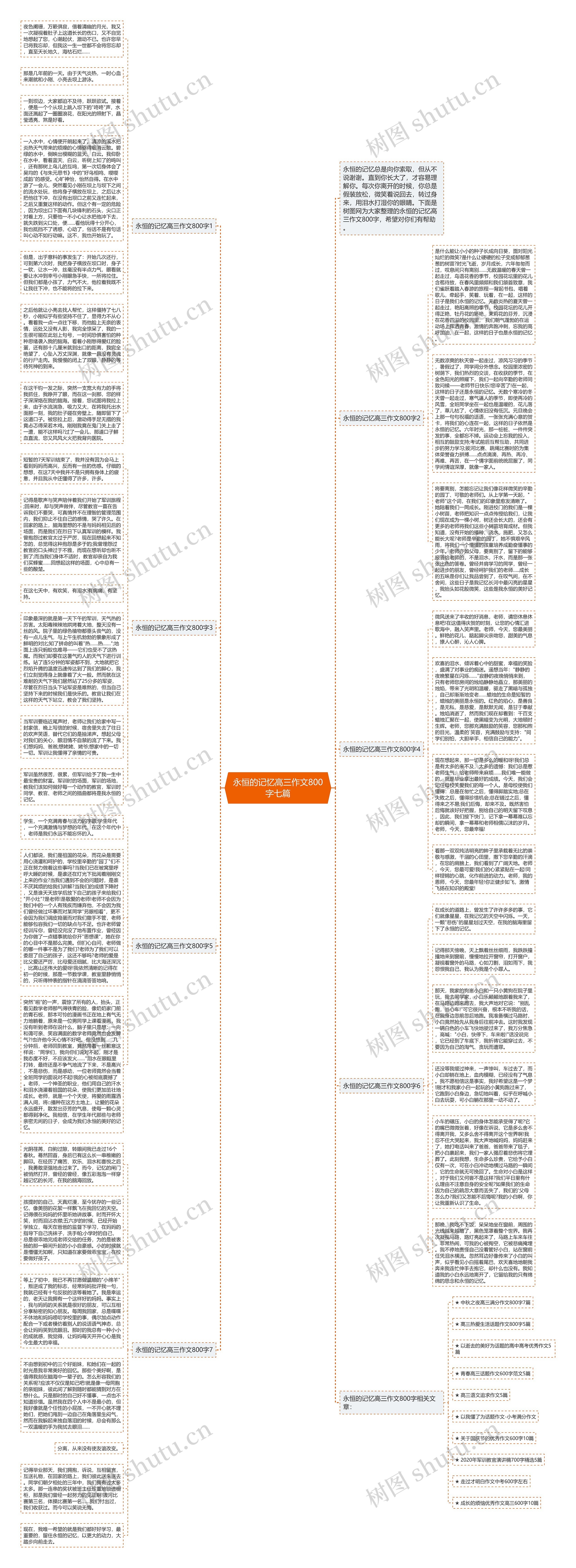 永恒的记忆高三作文800字七篇思维导图