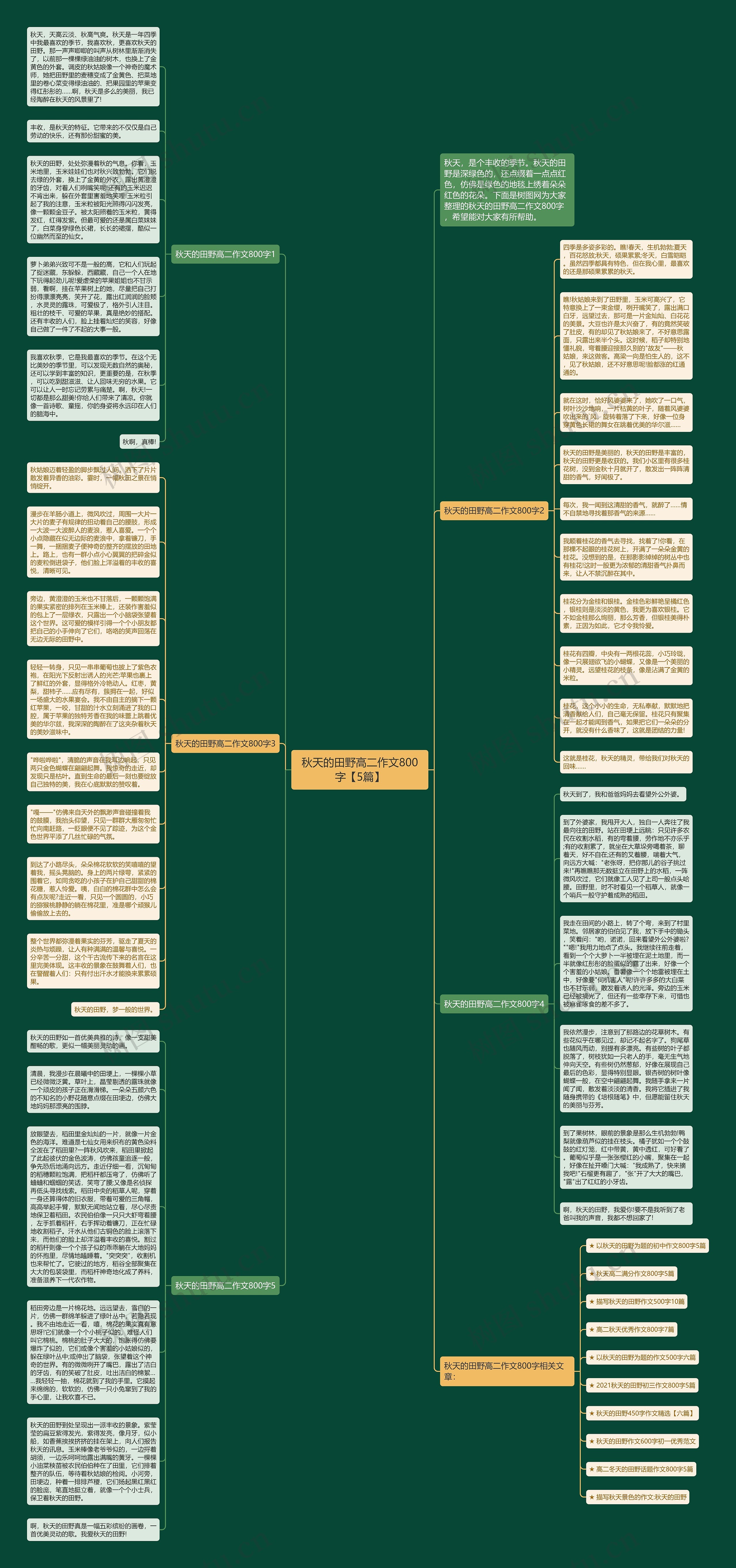 秋天的田野高二作文800字【5篇】思维导图