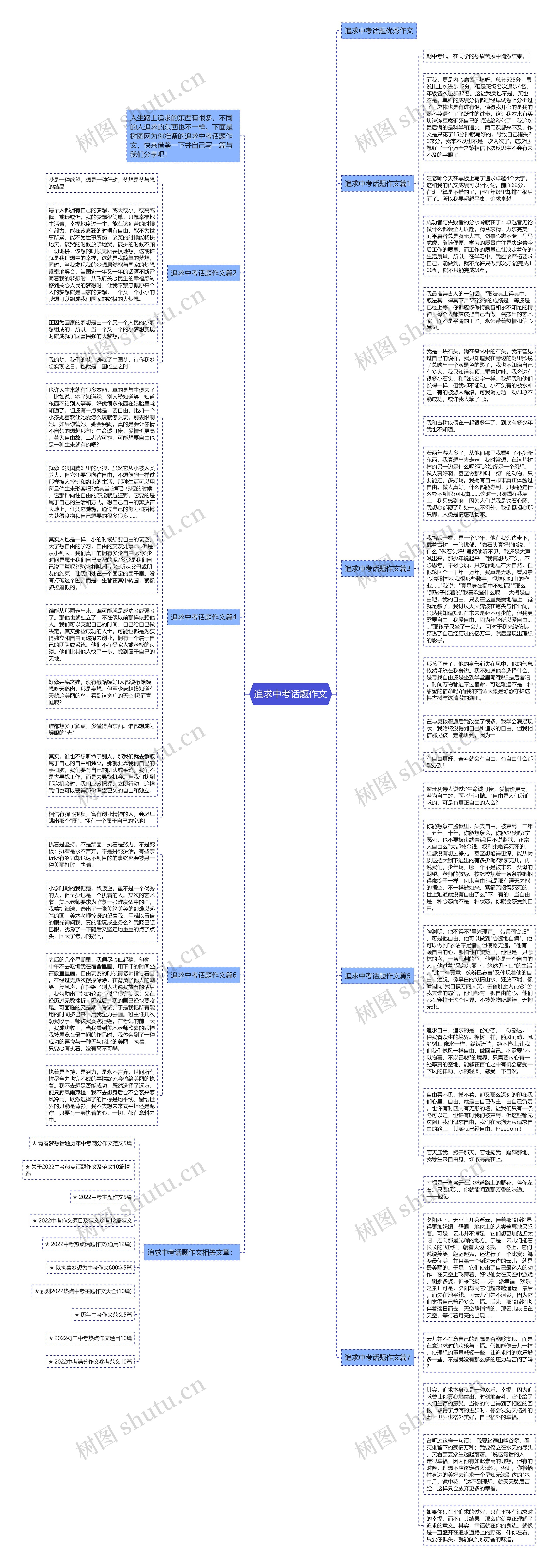 追求中考话题作文思维导图
