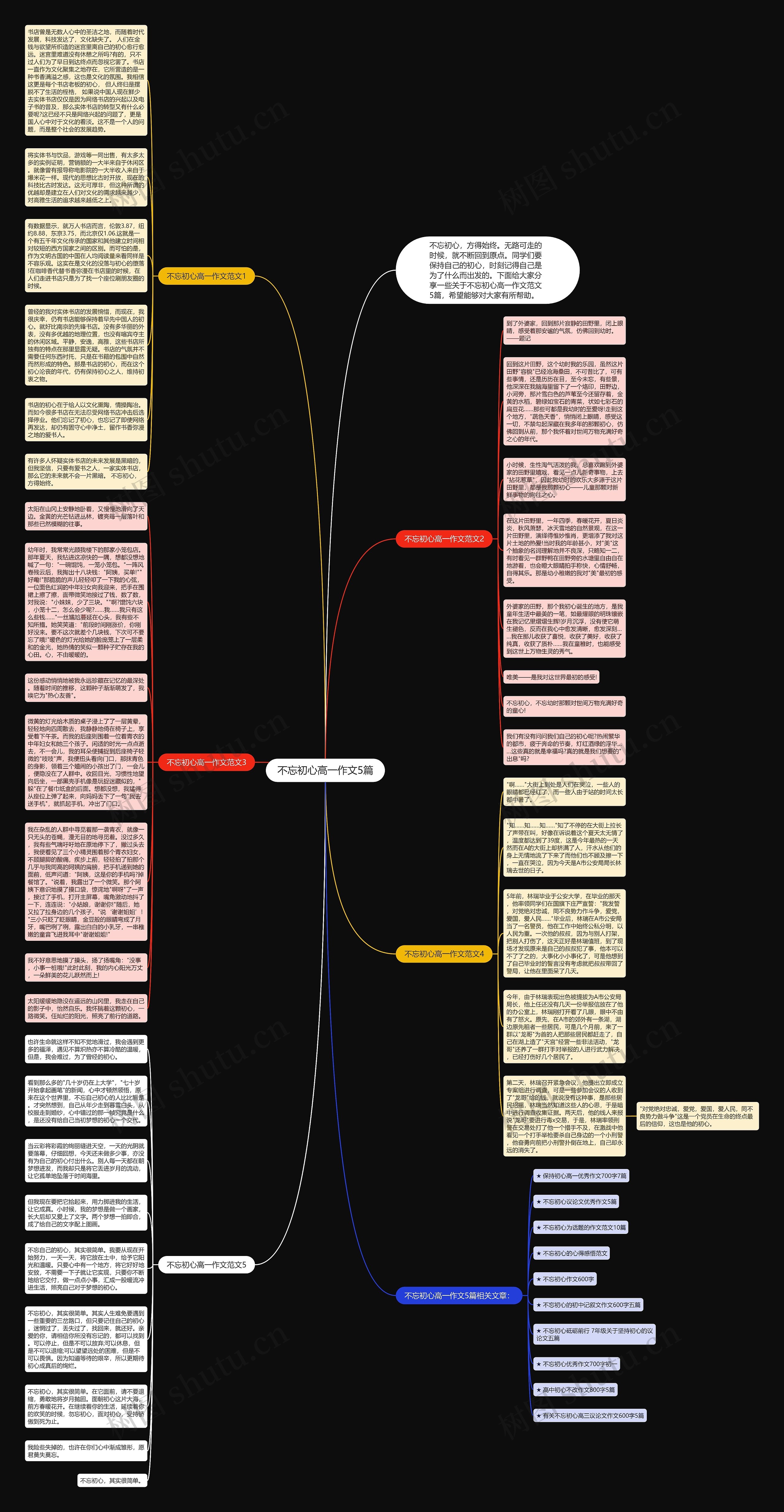不忘初心高一作文5篇思维导图