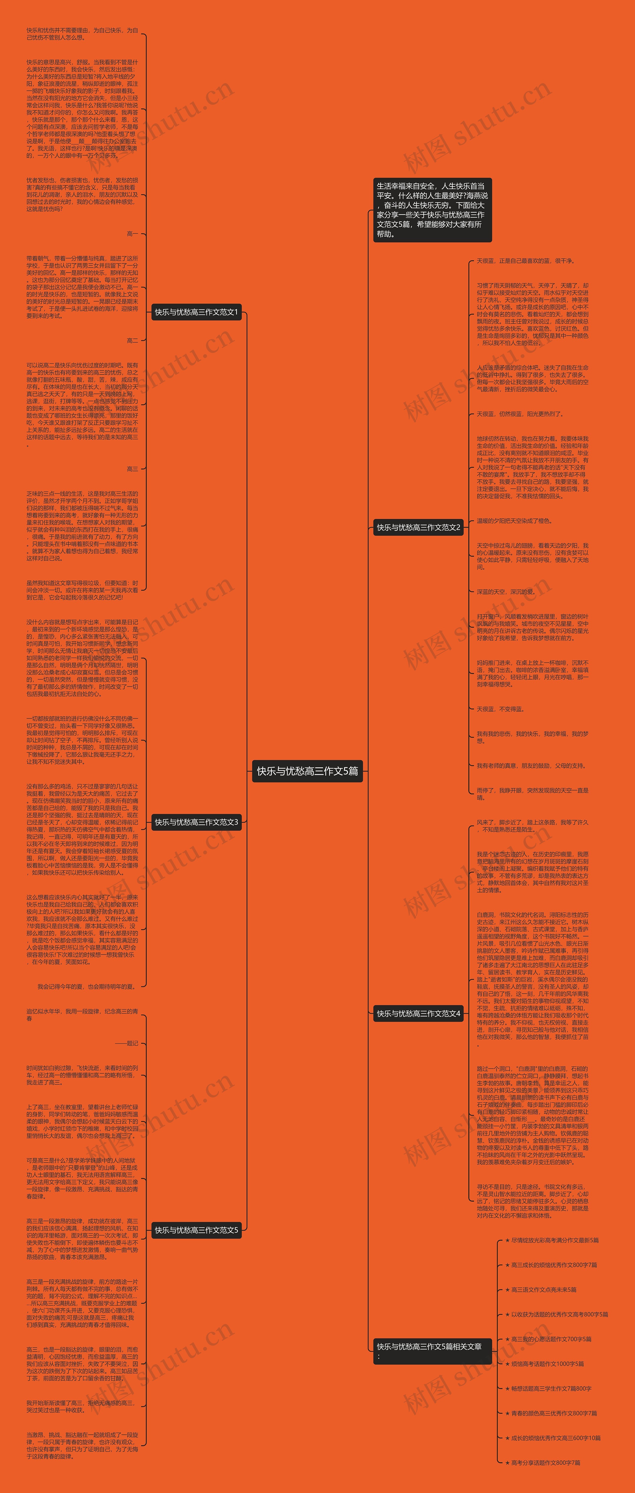 快乐与忧愁高三作文5篇思维导图