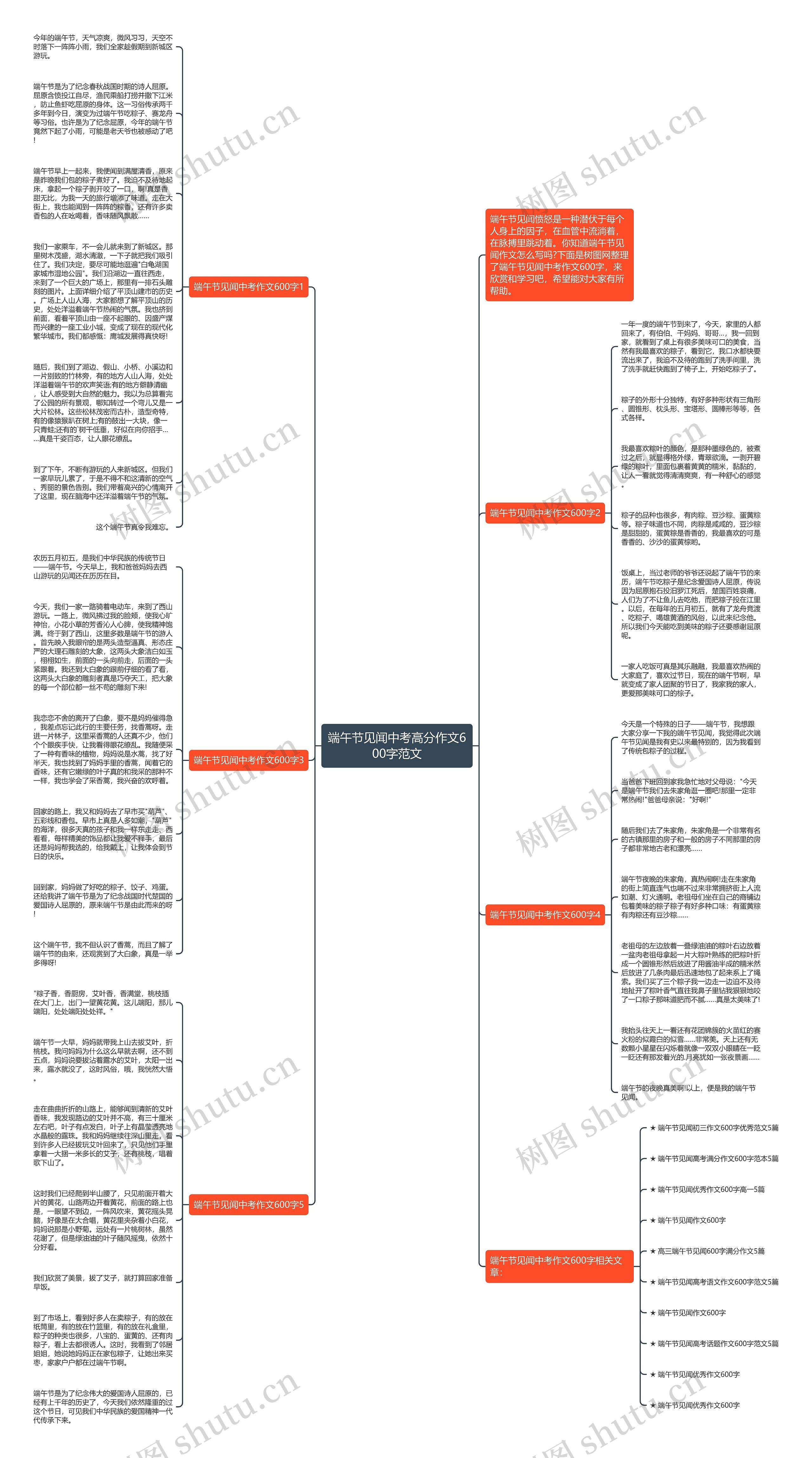 端午节见闻中考高分作文600字范文思维导图