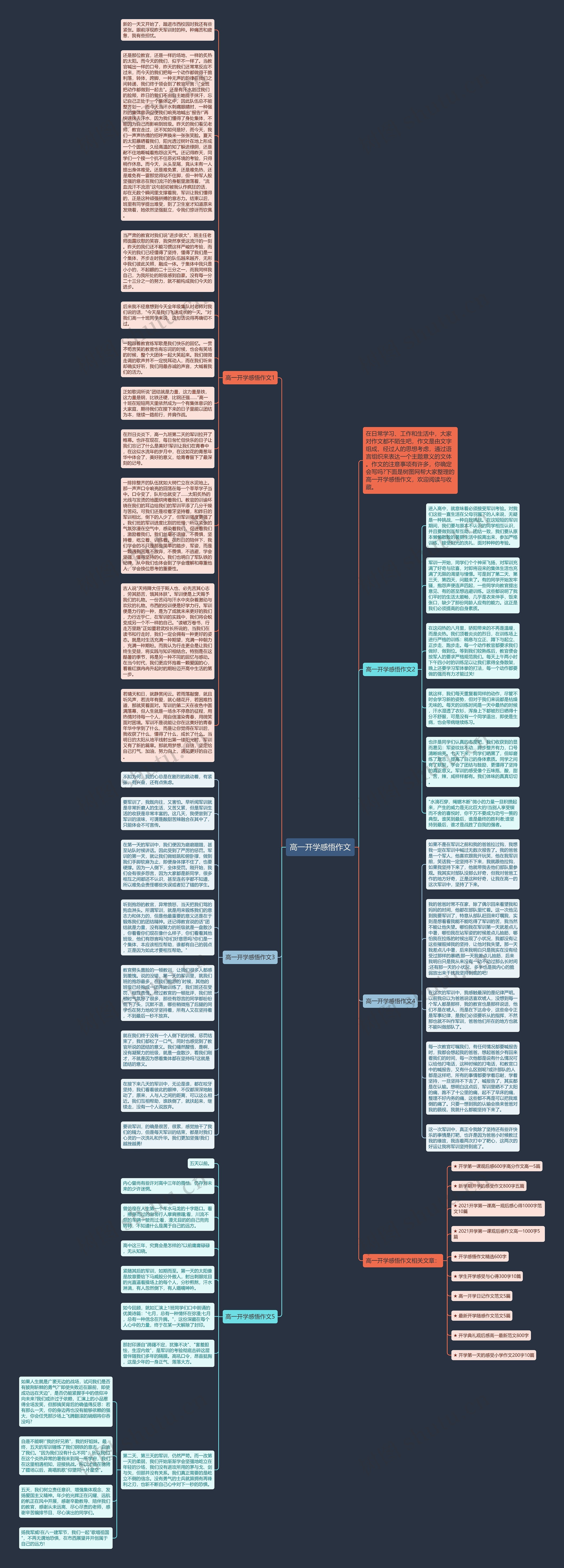 高一开学感悟作文思维导图
