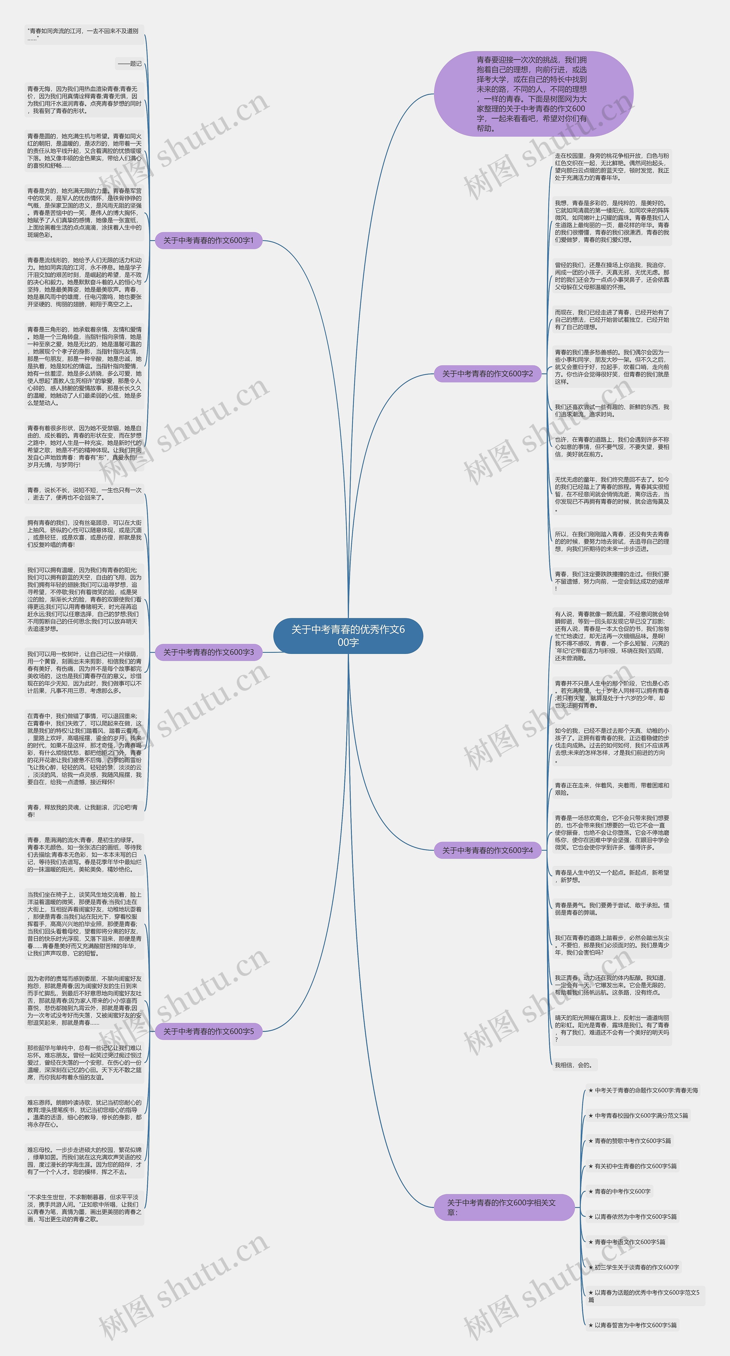 关于中考青春的优秀作文600字思维导图