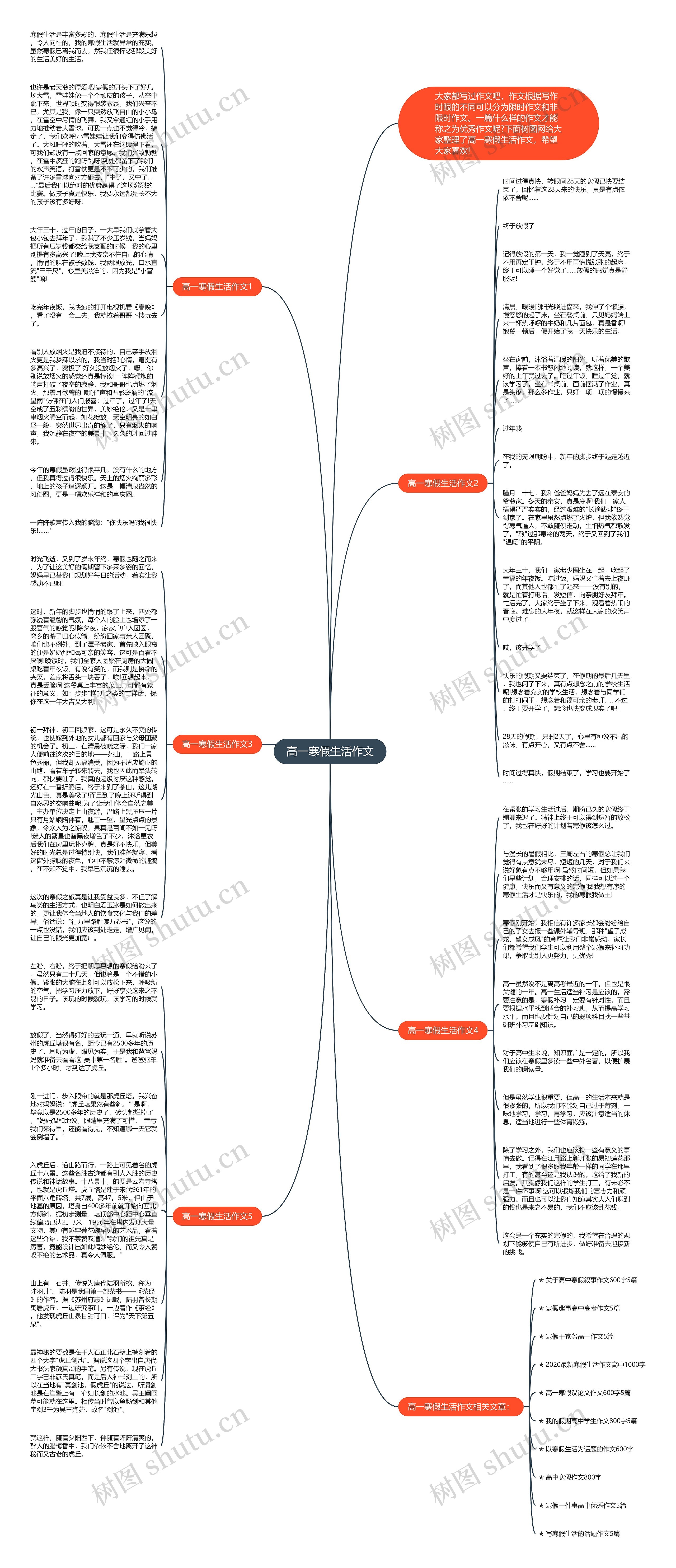 高一寒假生活作文思维导图