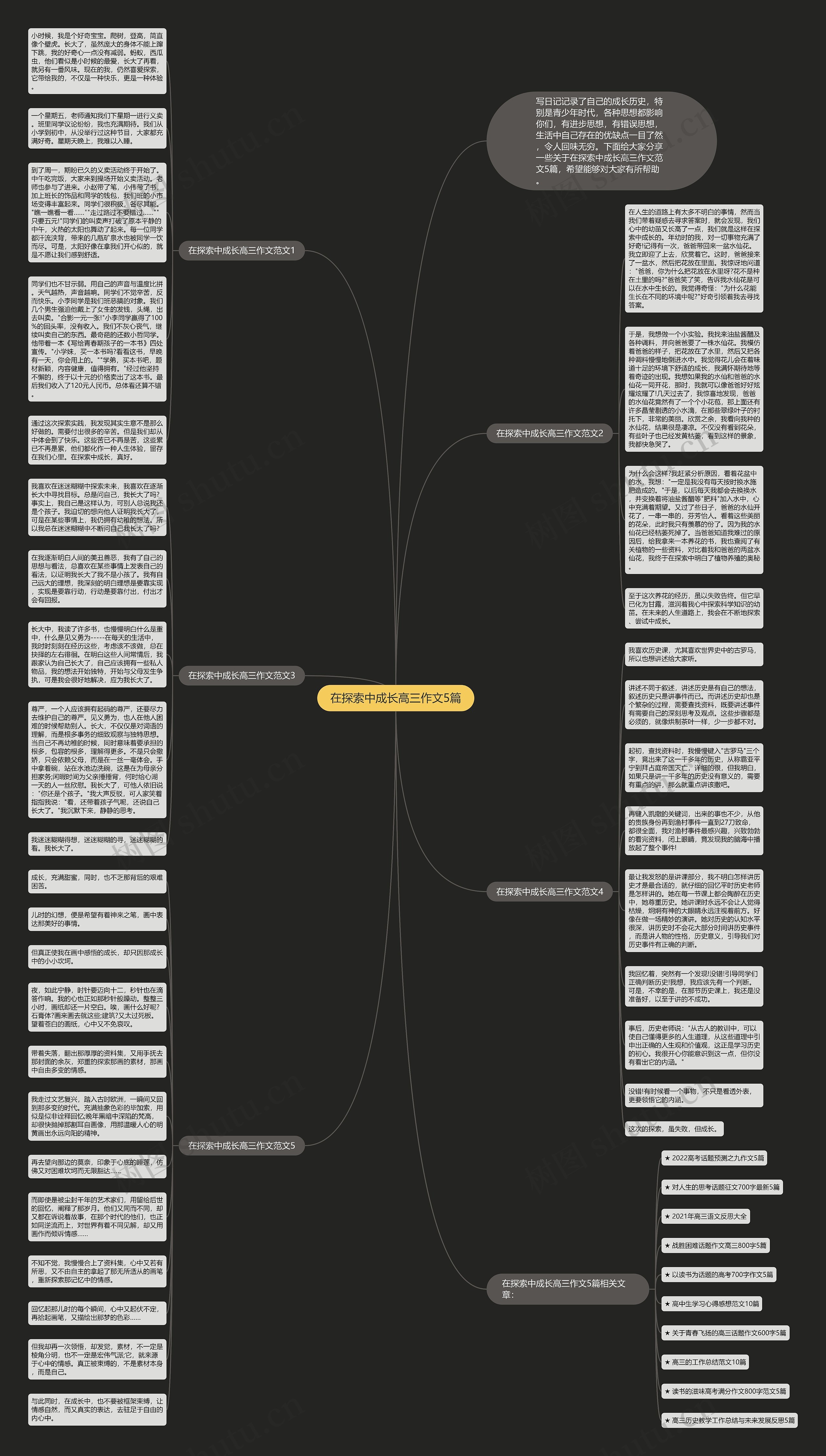 在探索中成长高三作文5篇思维导图