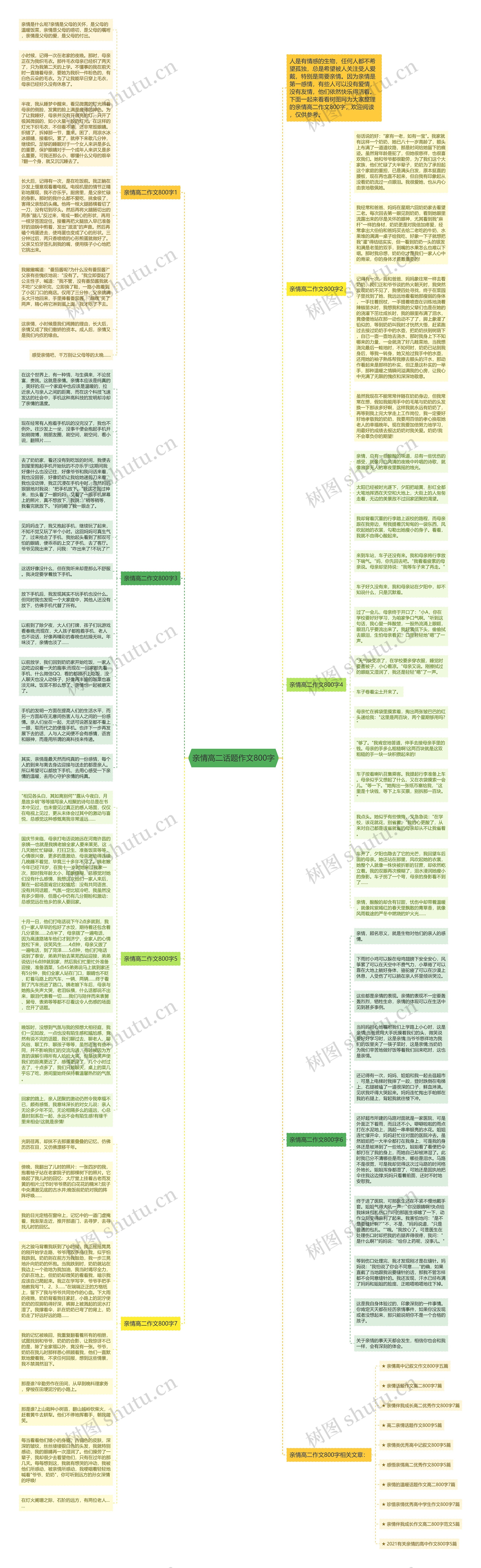 亲情高二话题作文800字思维导图