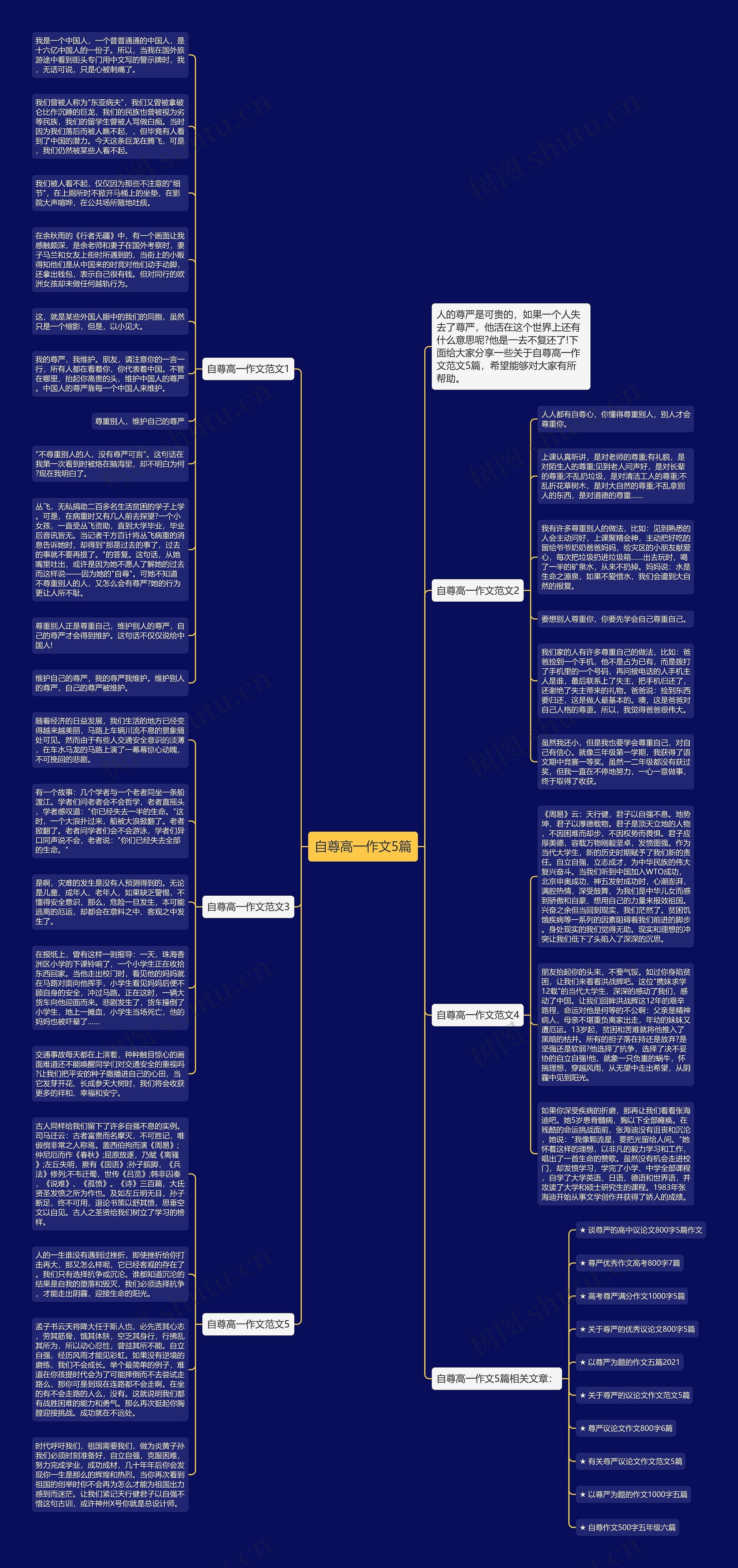 自尊高一作文5篇思维导图