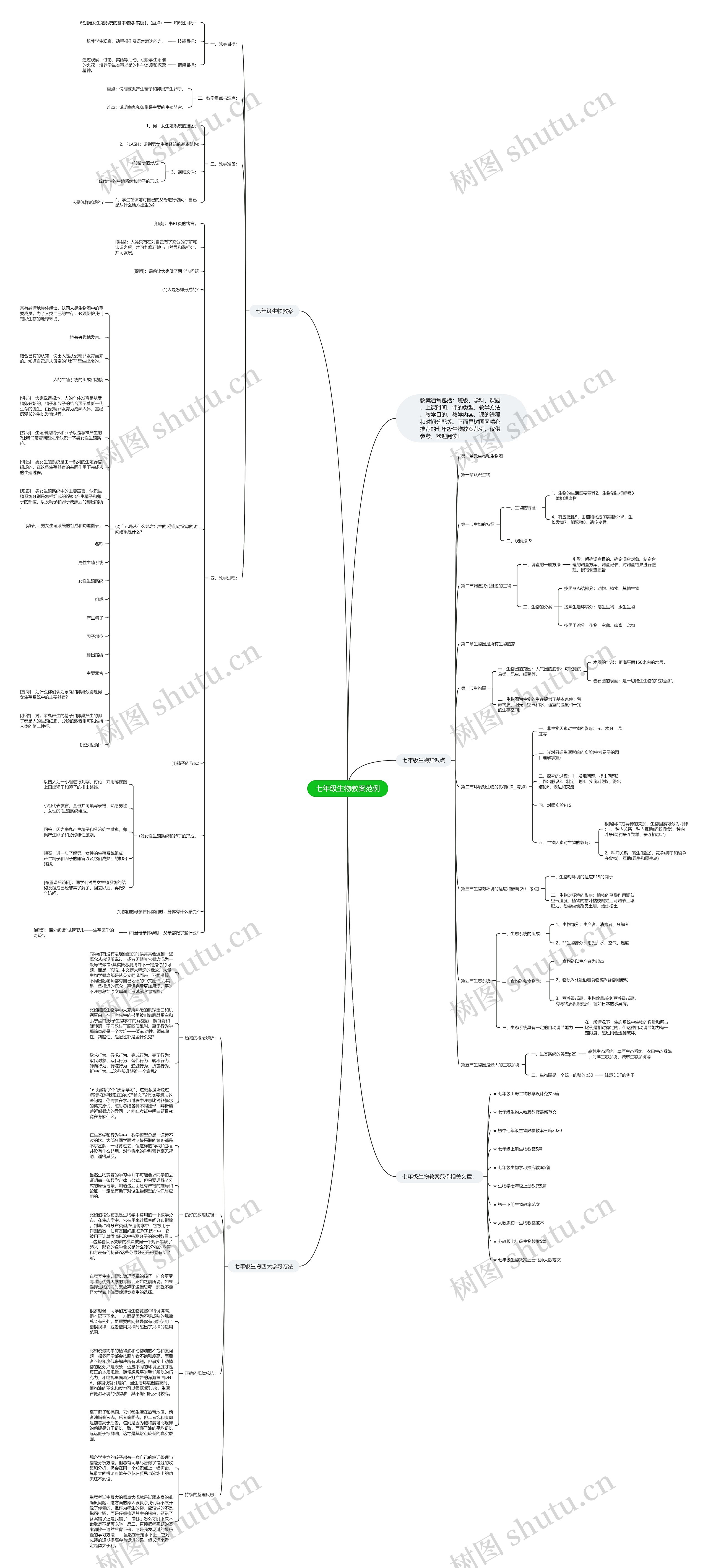 七年级生物教案范例思维导图