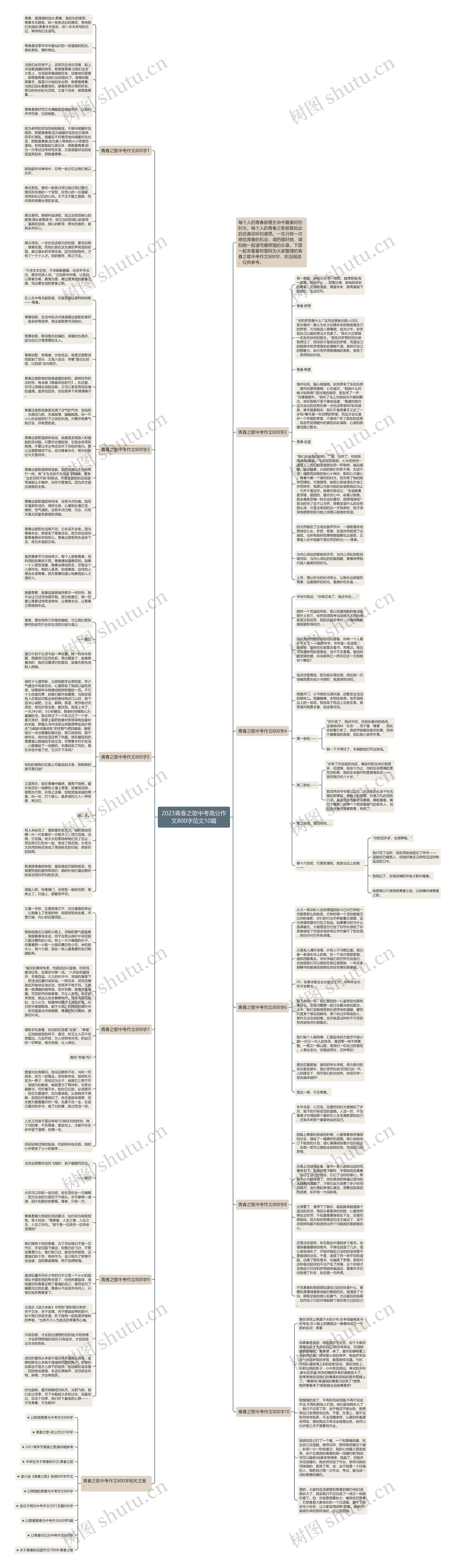 2023青春之歌中考高分作文800字范文10篇思维导图