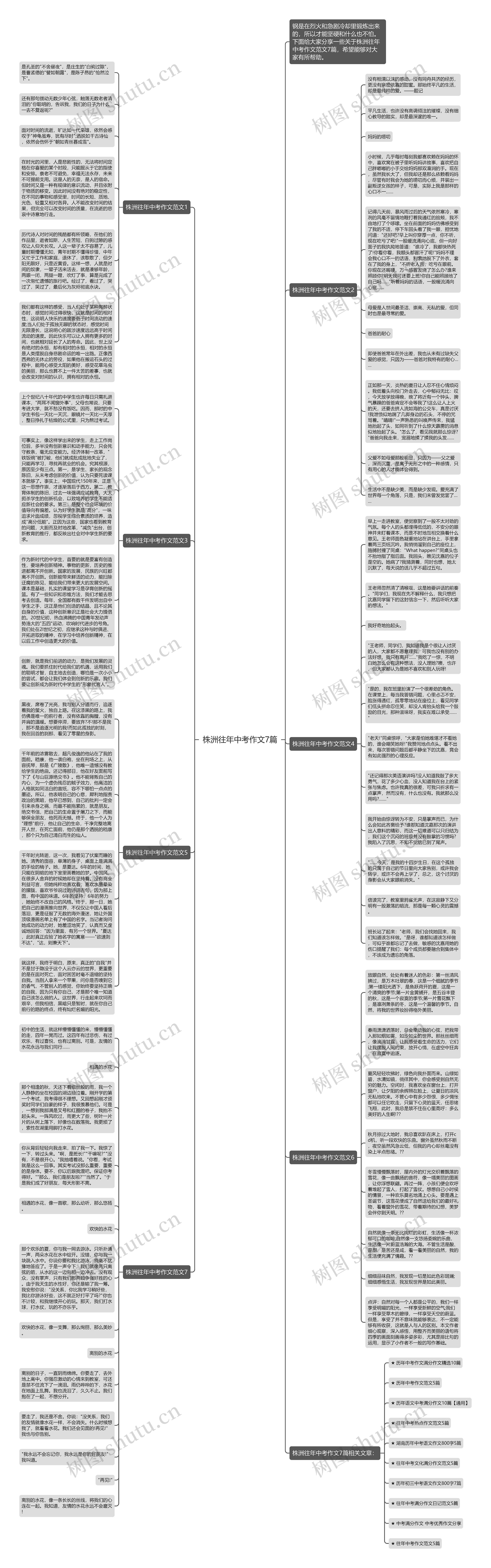 株洲往年中考作文7篇思维导图