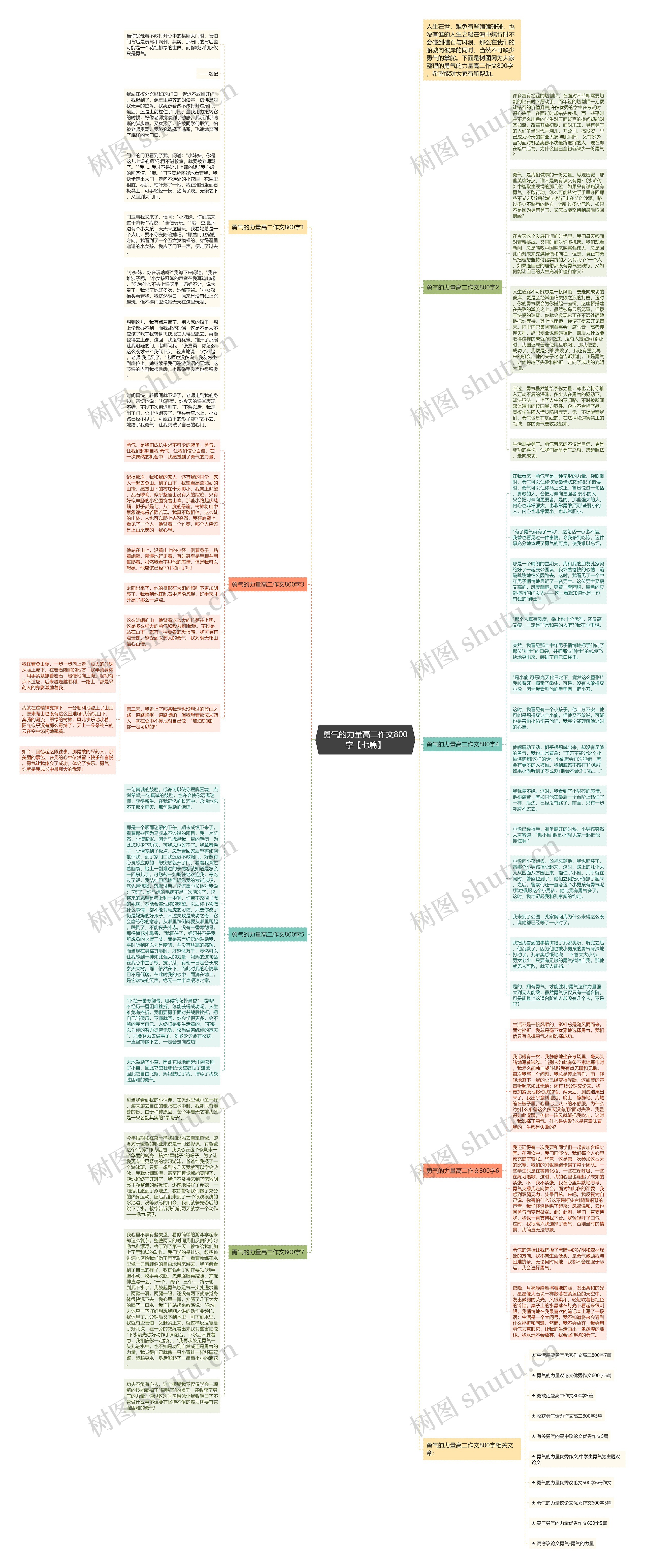 勇气的力量高二作文800字【七篇】思维导图