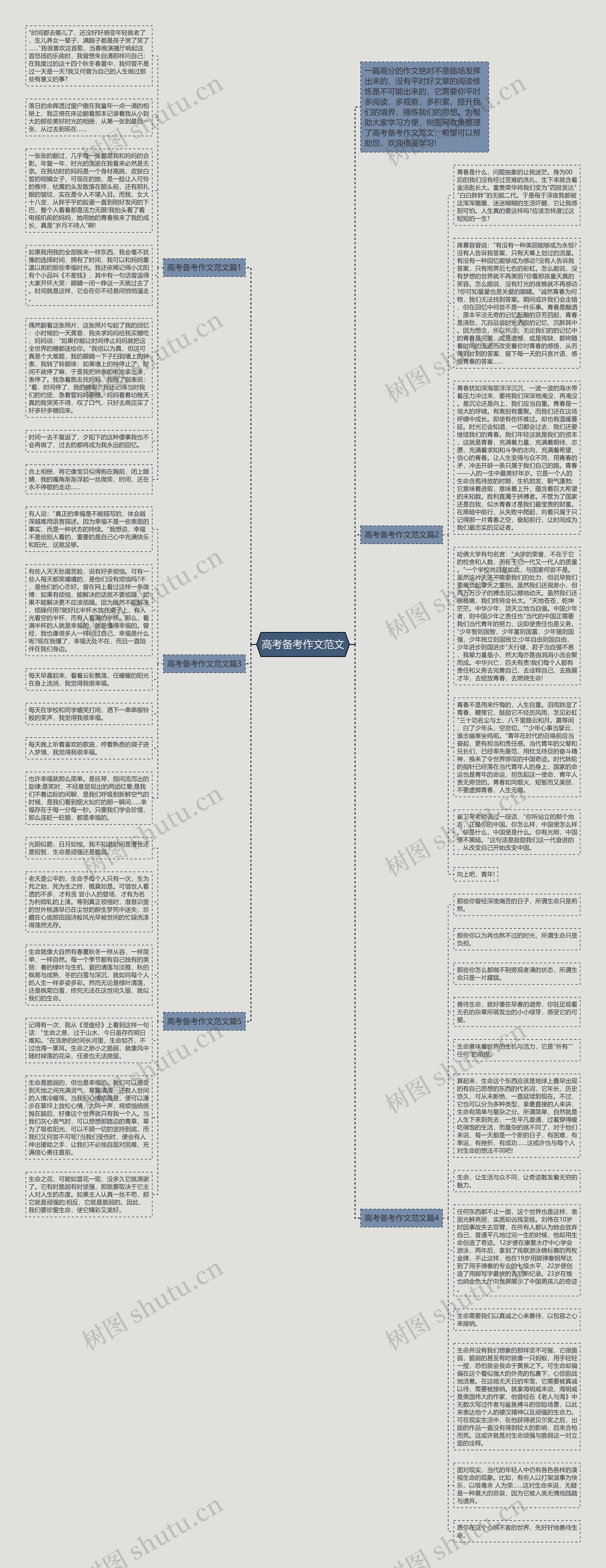 高考备考作文范文思维导图