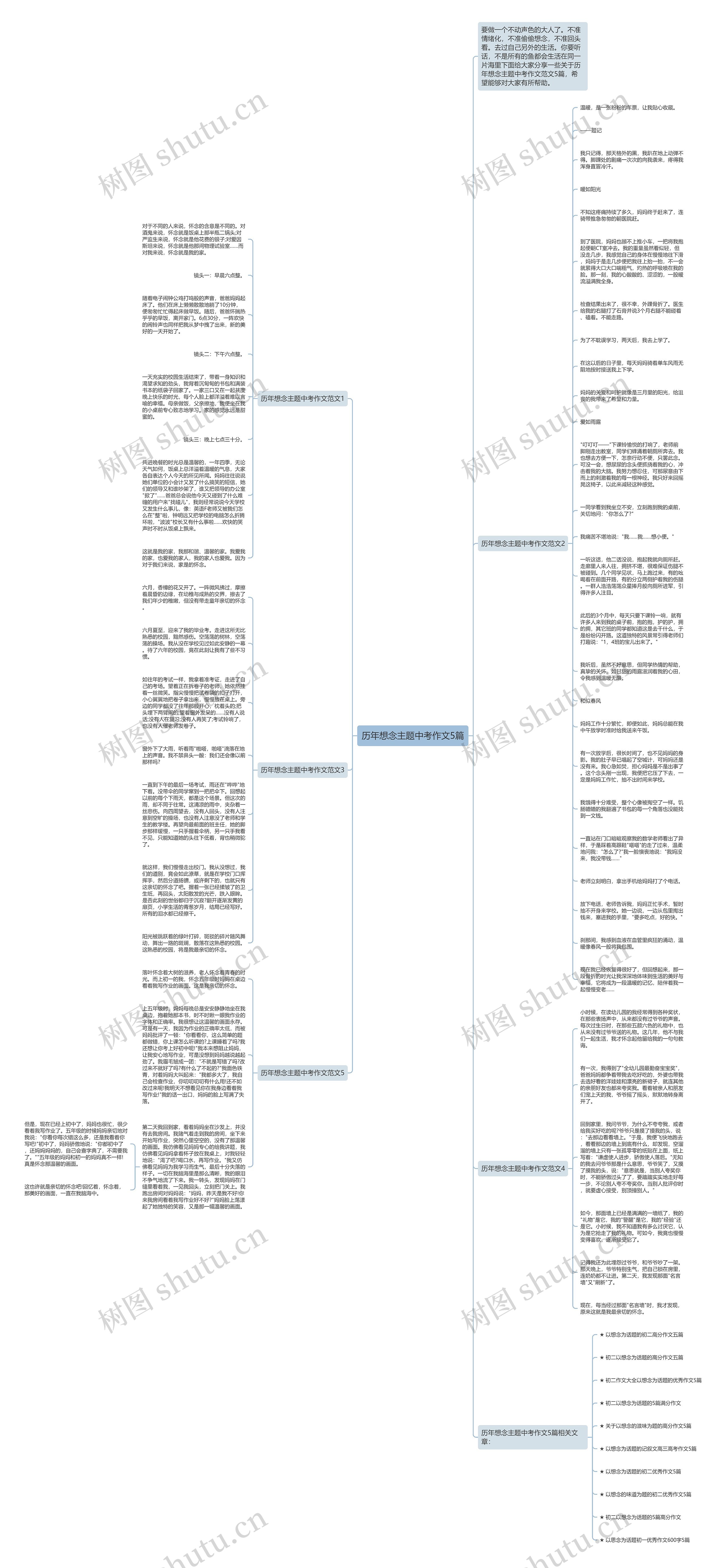 历年想念主题中考作文5篇思维导图