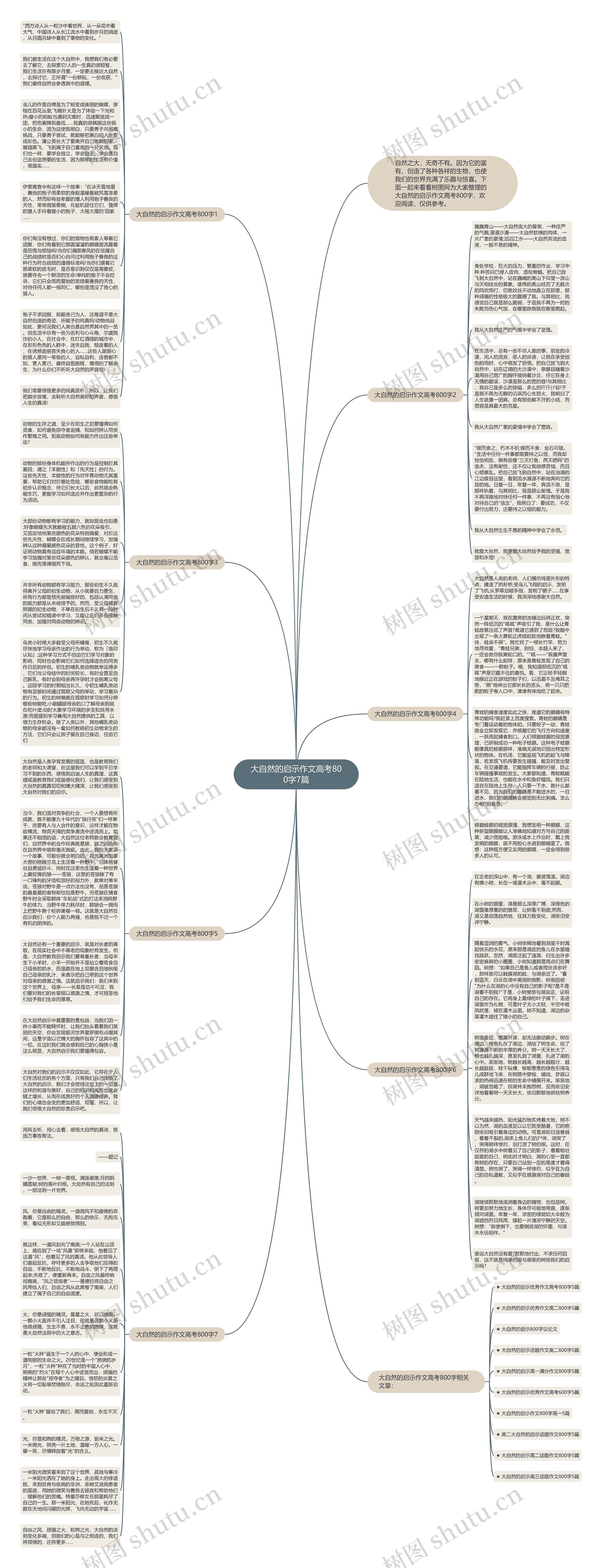 大自然的启示作文高考800字7篇思维导图