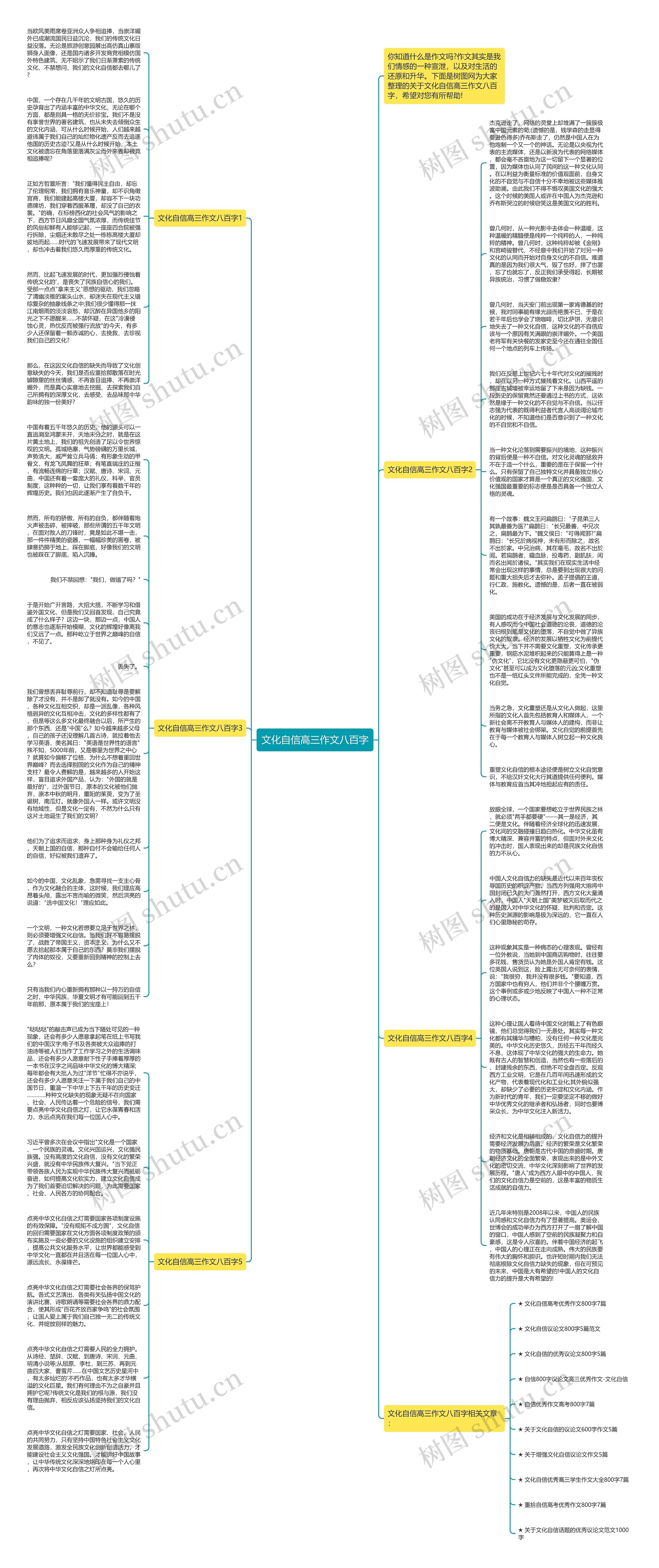 文化自信高三作文八百字思维导图