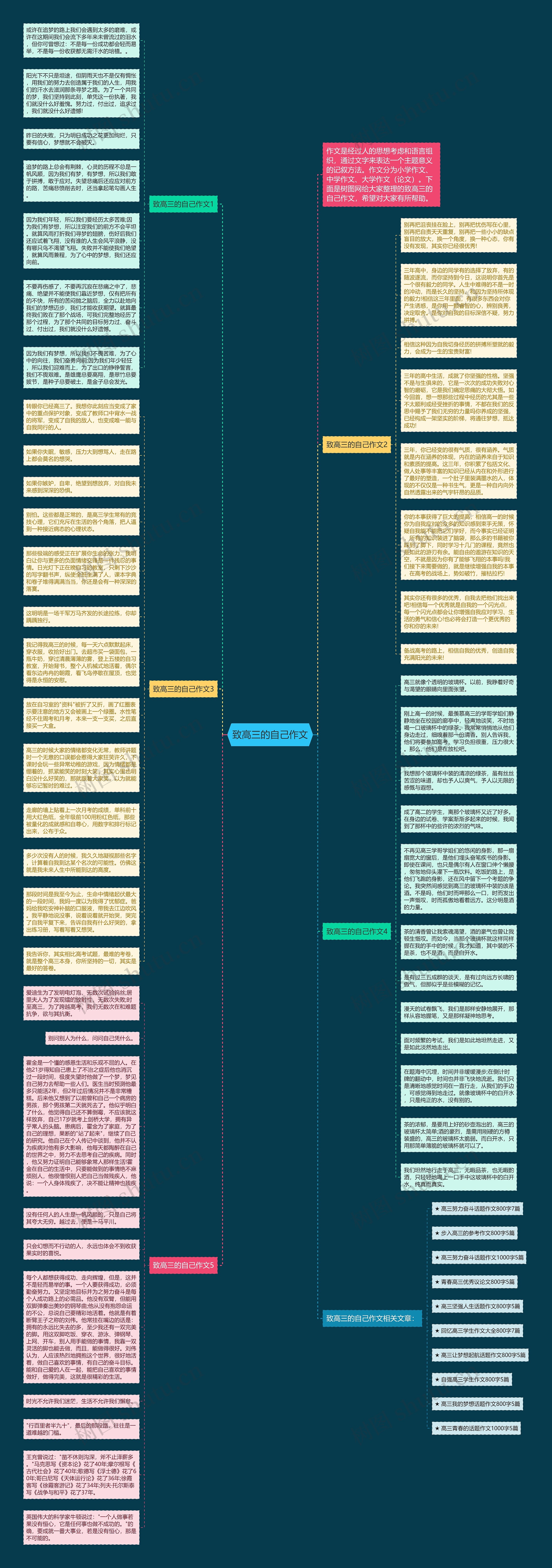 致高三的自己作文思维导图