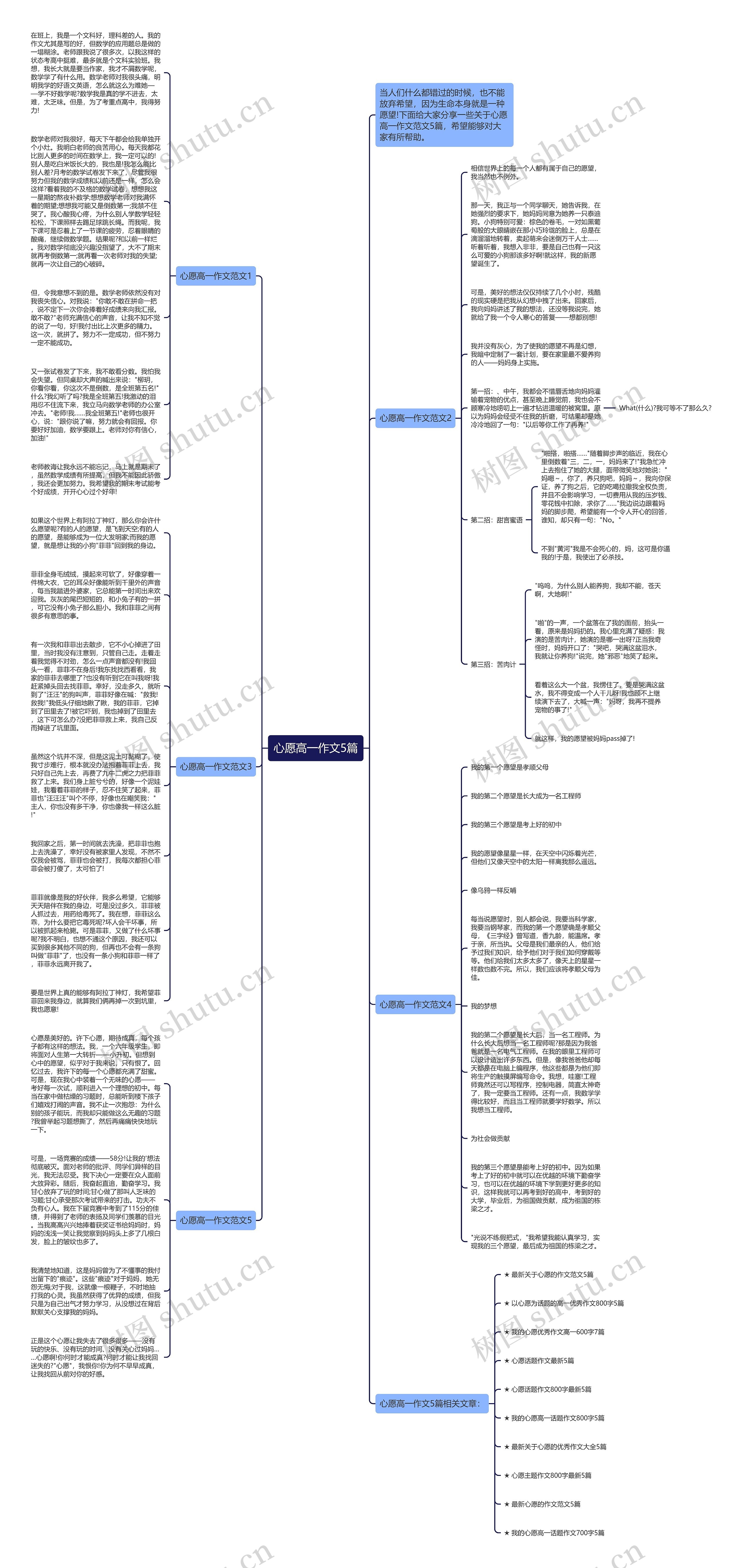 心愿高一作文5篇思维导图