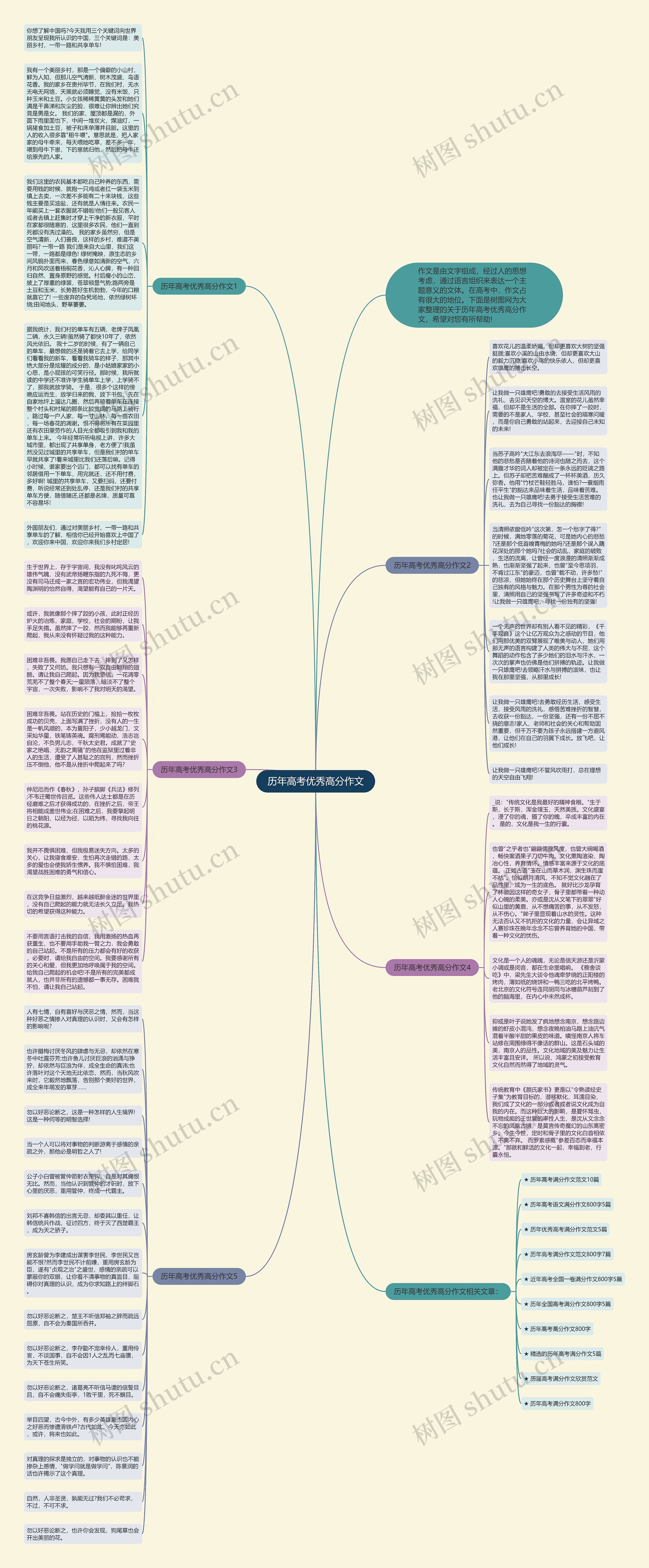 历年高考优秀高分作文思维导图