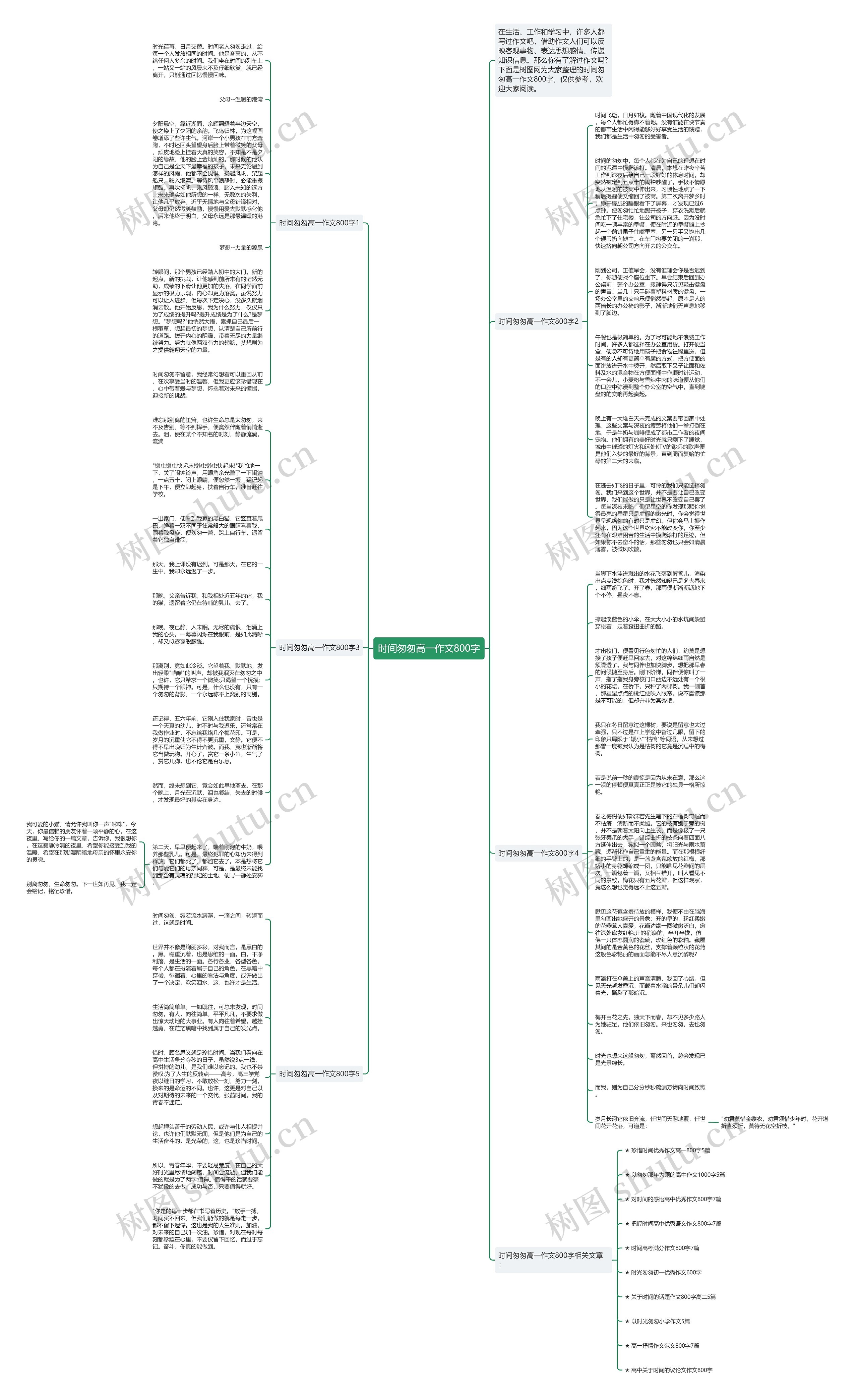 时间匆匆高一作文800字