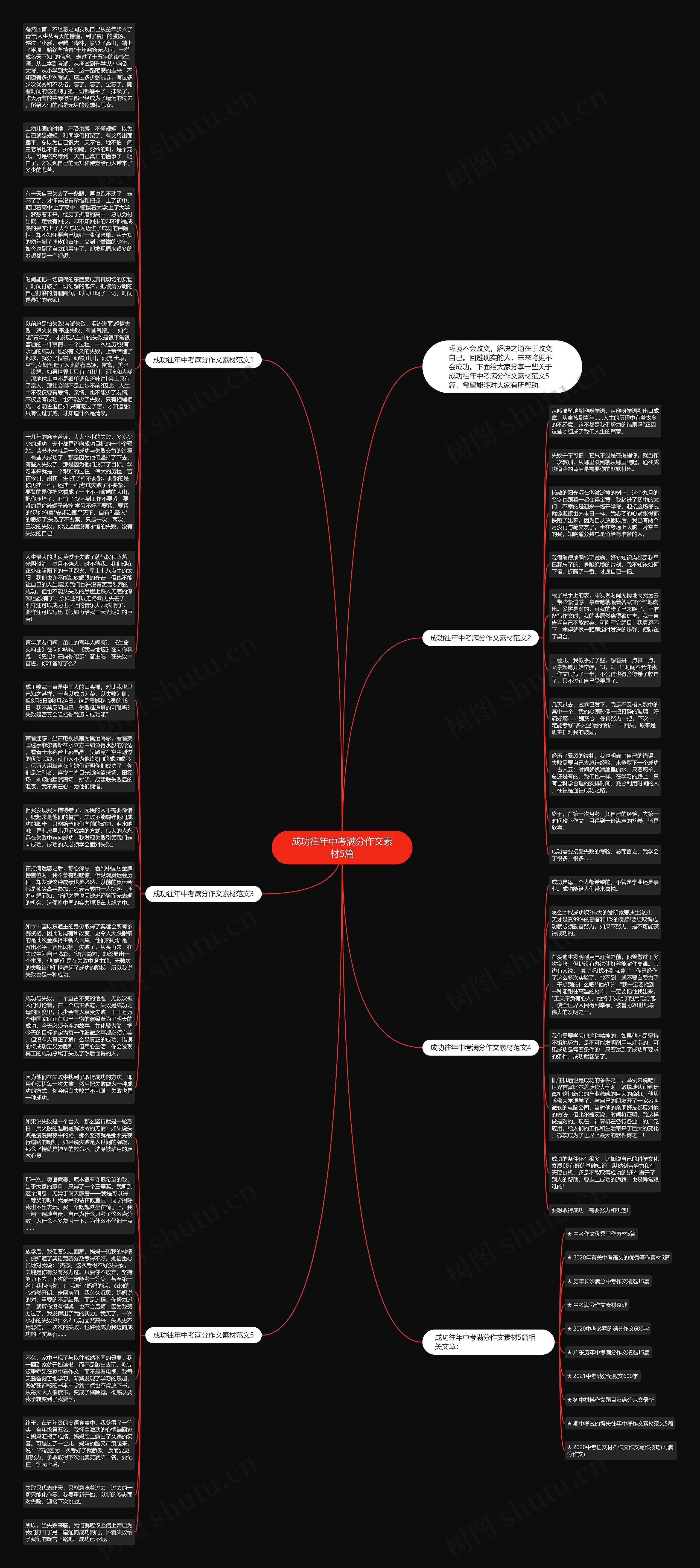 成功往年中考满分作文素材5篇思维导图