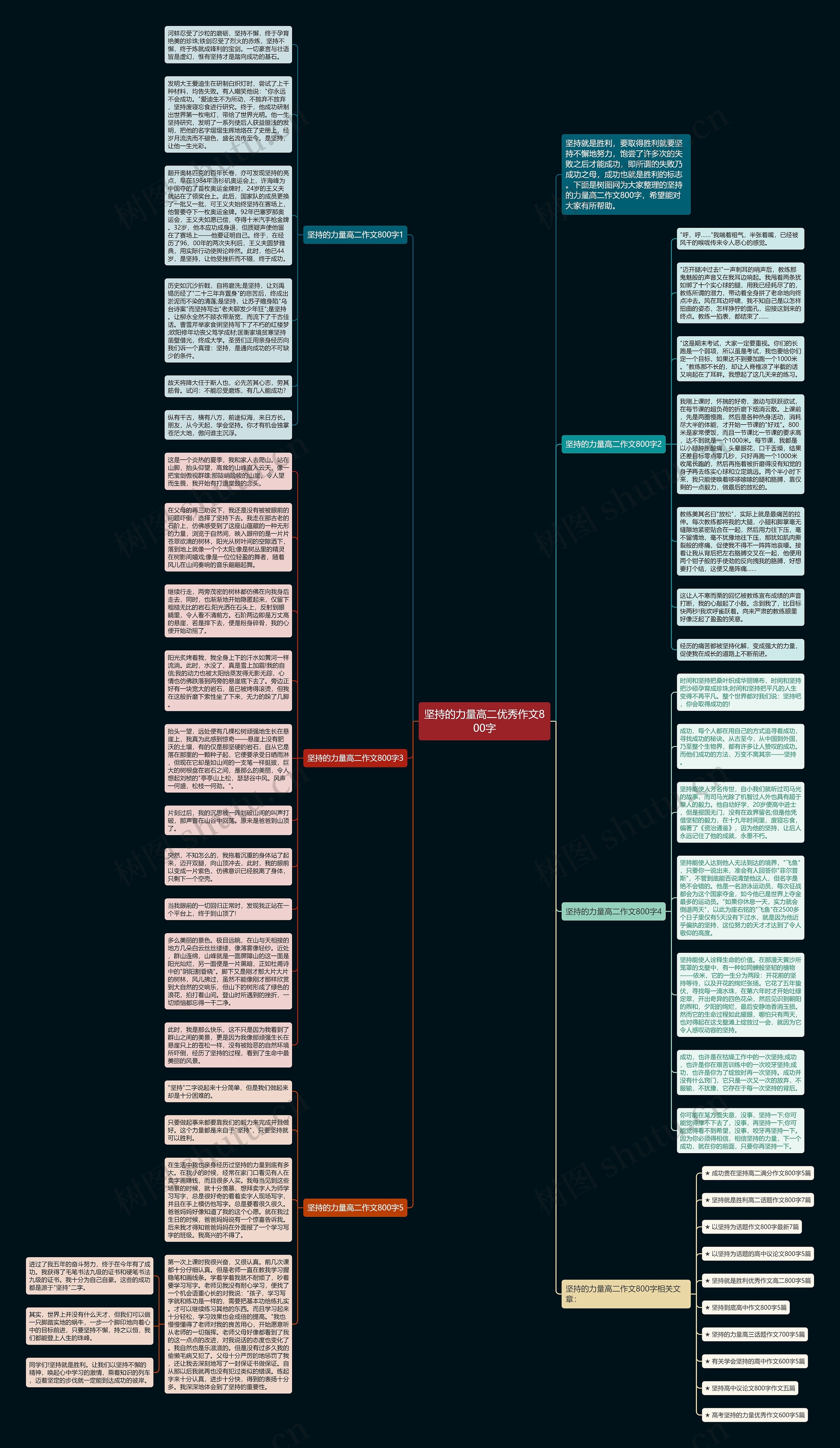 坚持的力量高二优秀作文800字思维导图