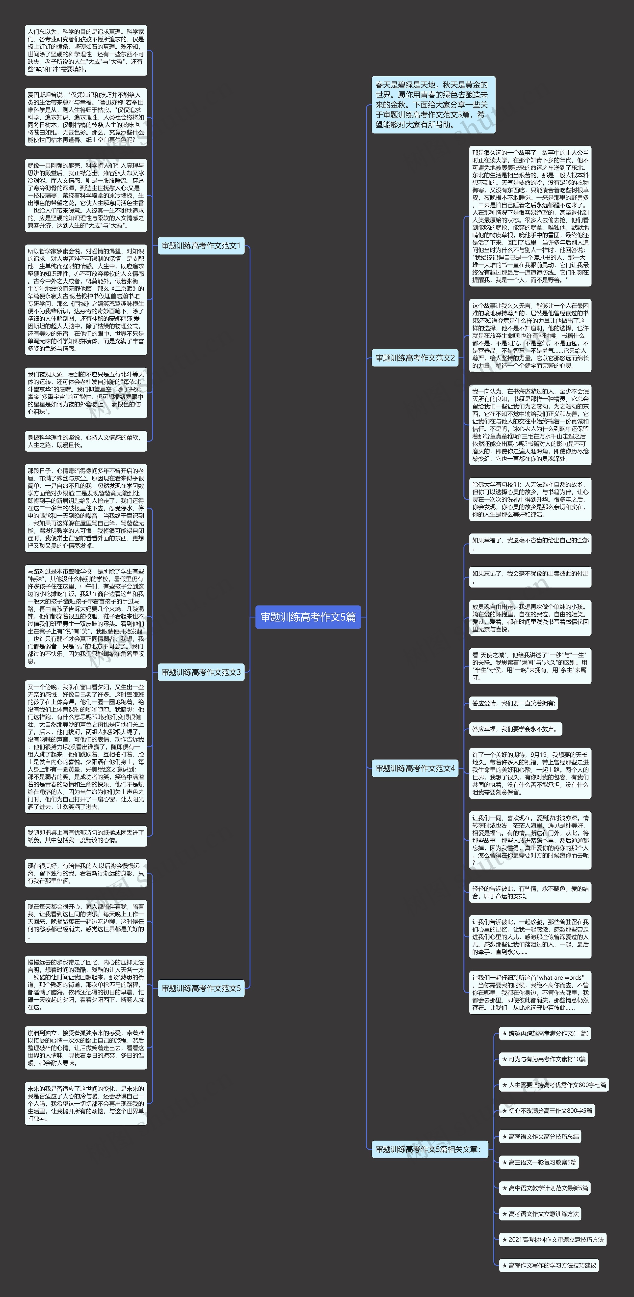 审题训练高考作文5篇思维导图