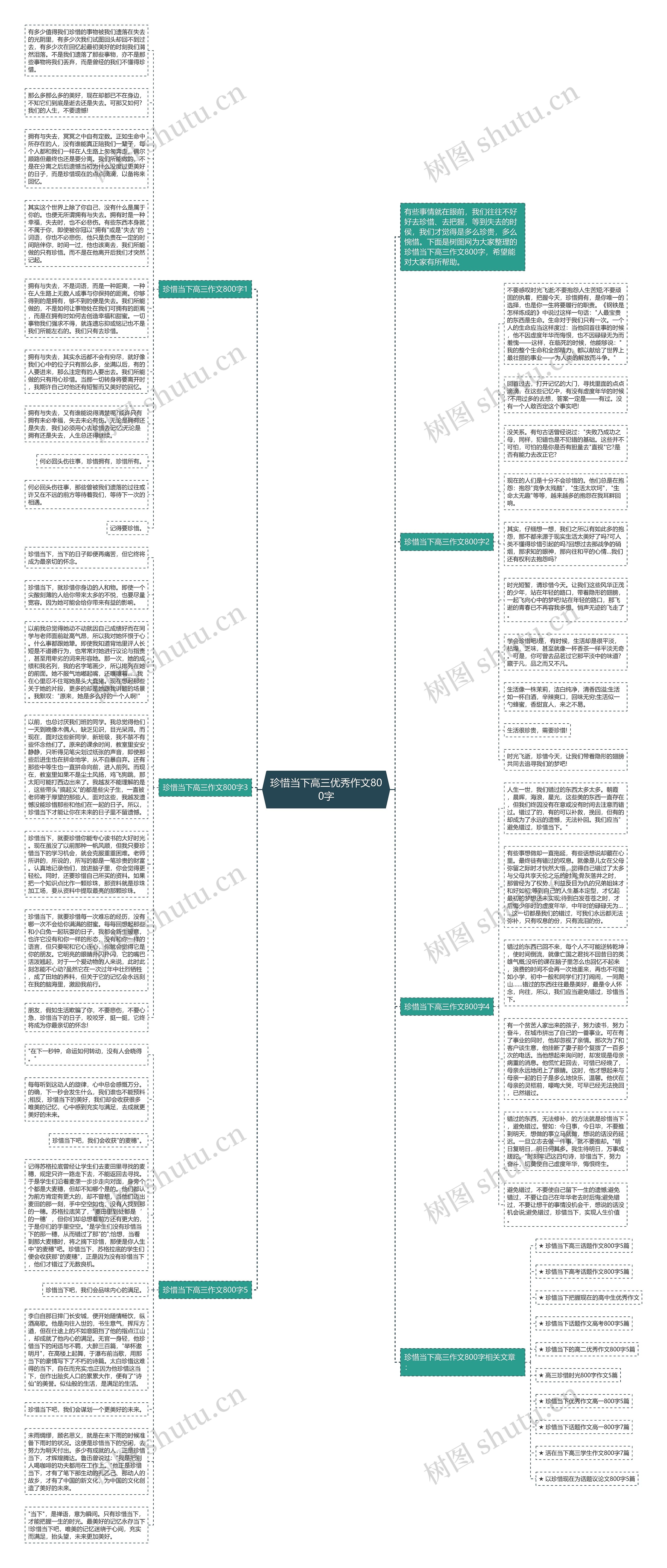 珍惜当下高三优秀作文800字思维导图